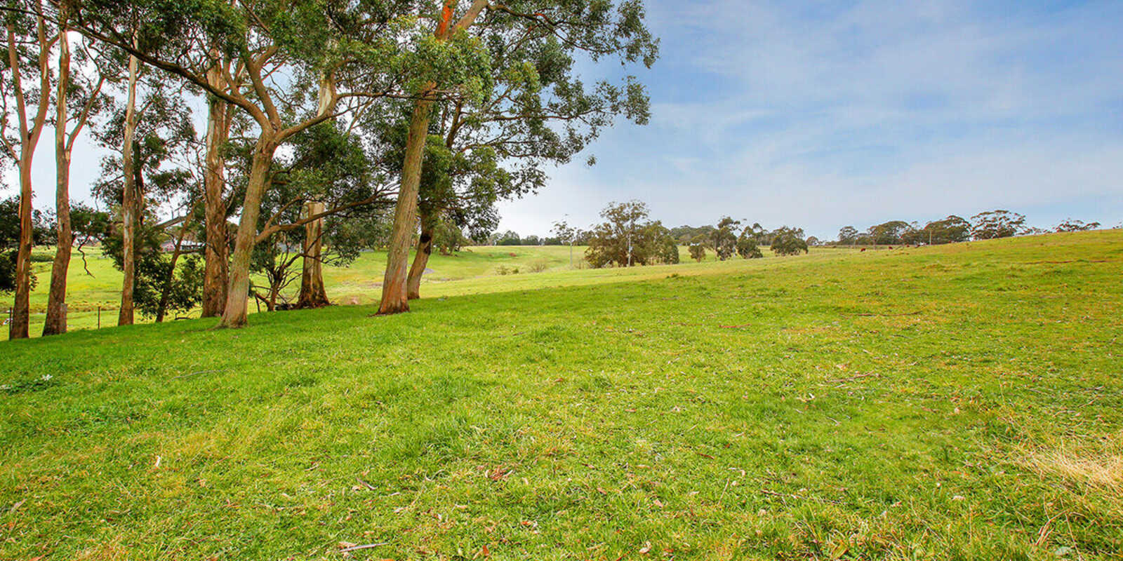 25 Ringwood Lane Exeter