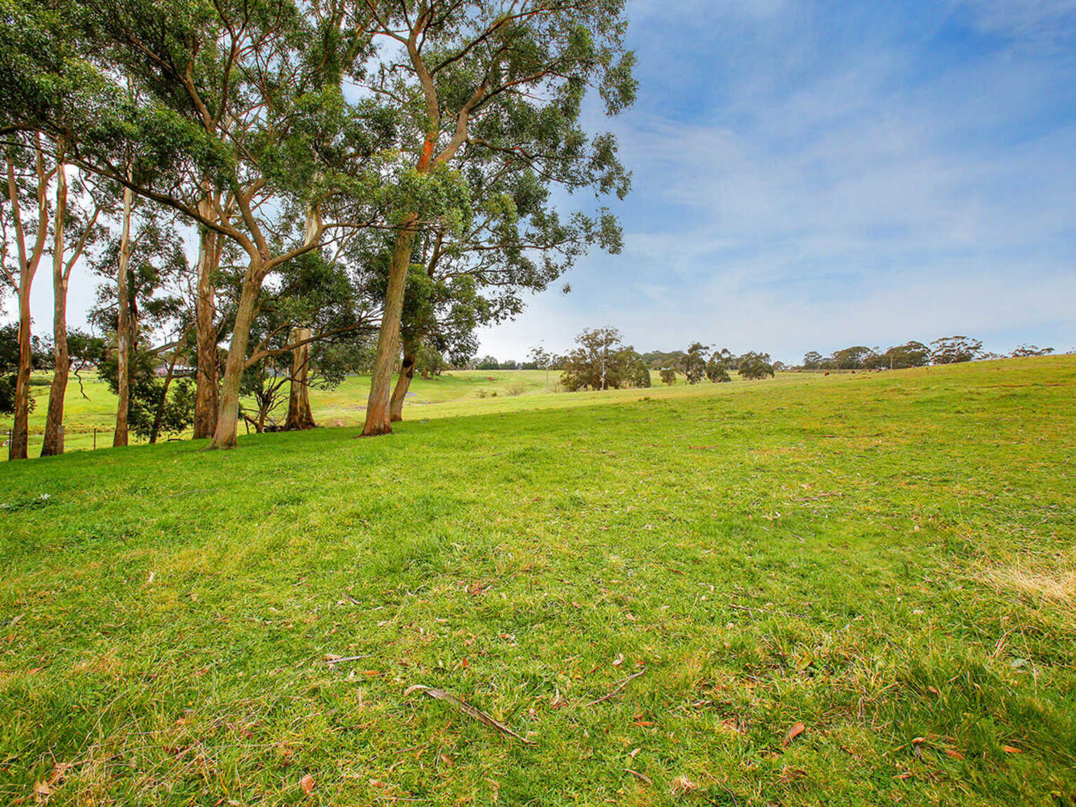 25 Ringwood Lane Exeter
