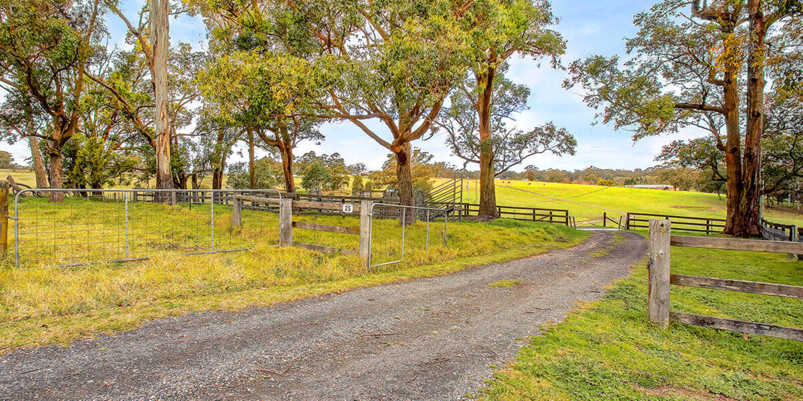 25 Ringwood Lane Exeter