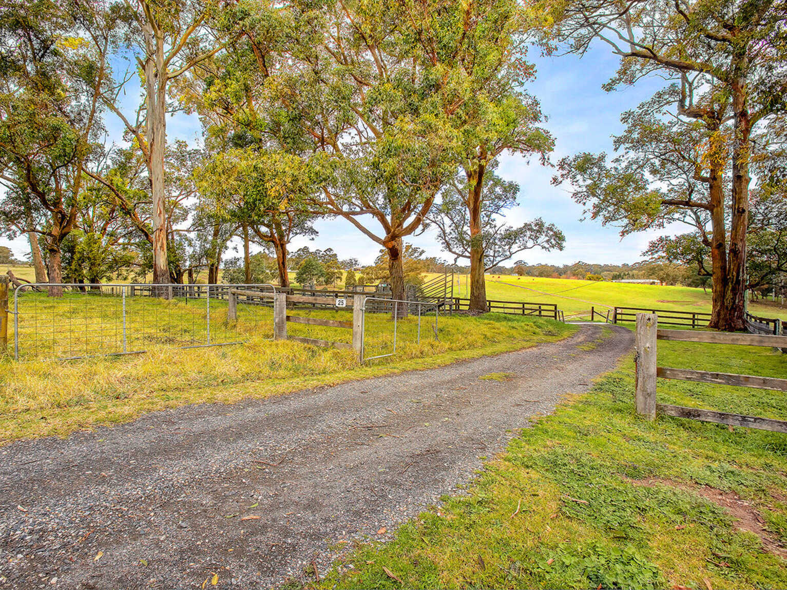 25 Ringwood Lane Exeter