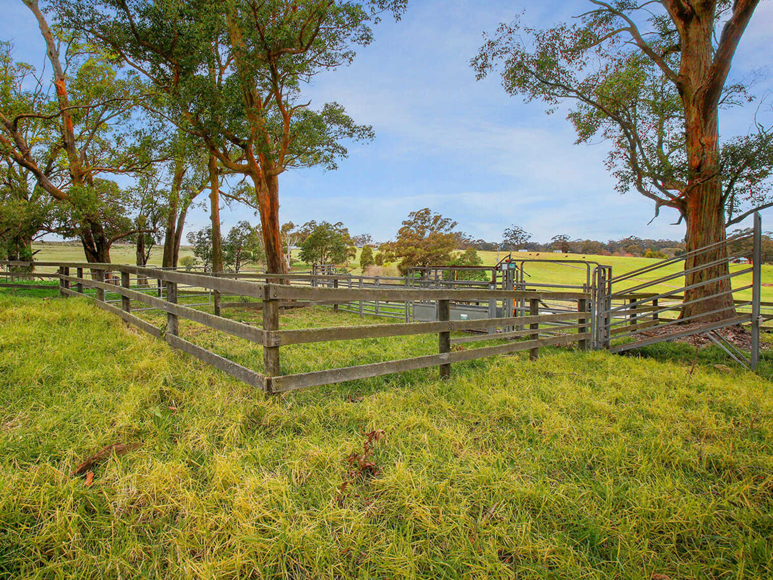 25 Ringwood Lane Exeter