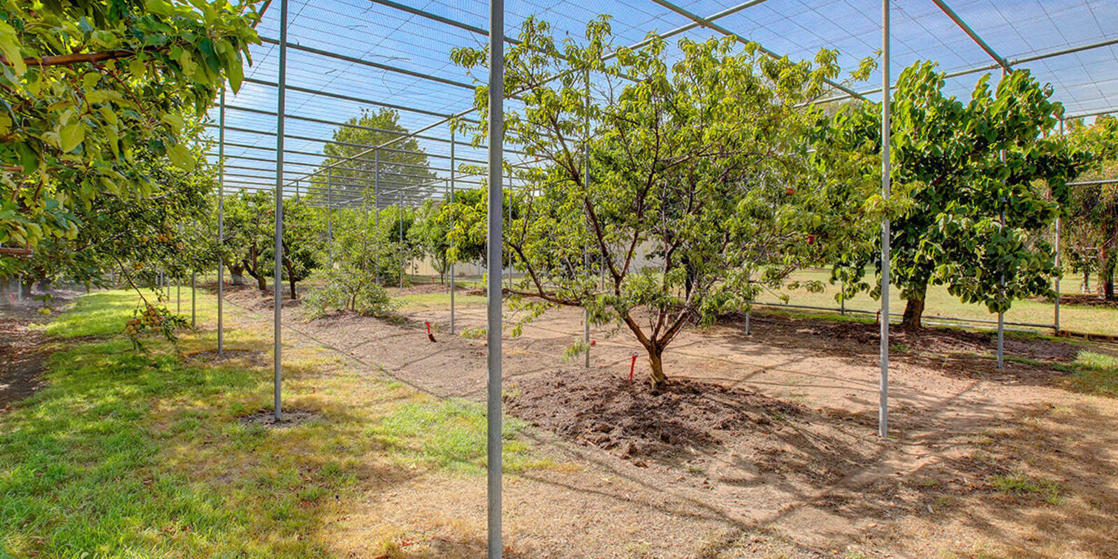 3055 Canyonleigh Road Sutton Forest