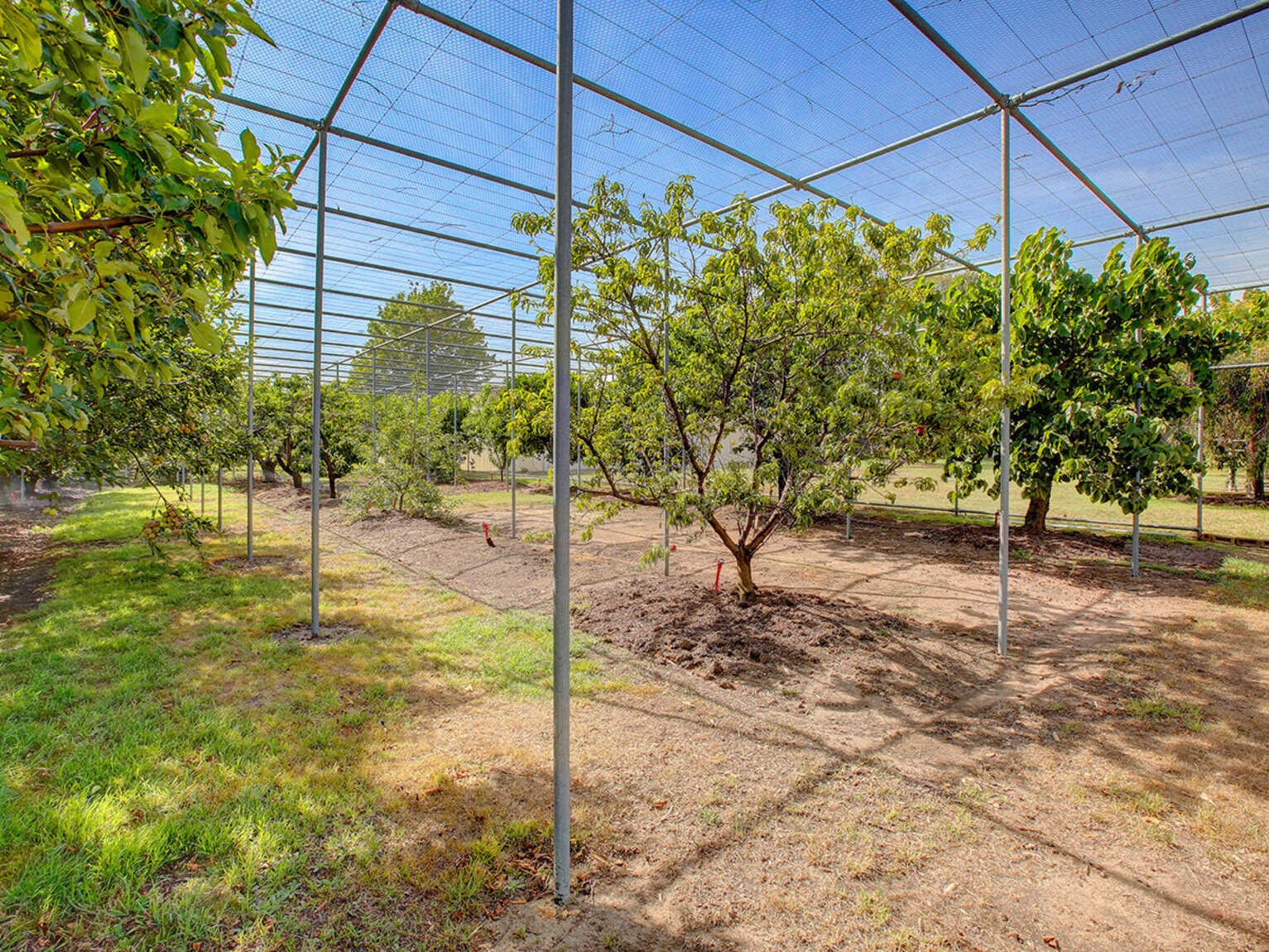 3055 Canyonleigh Road Sutton Forest