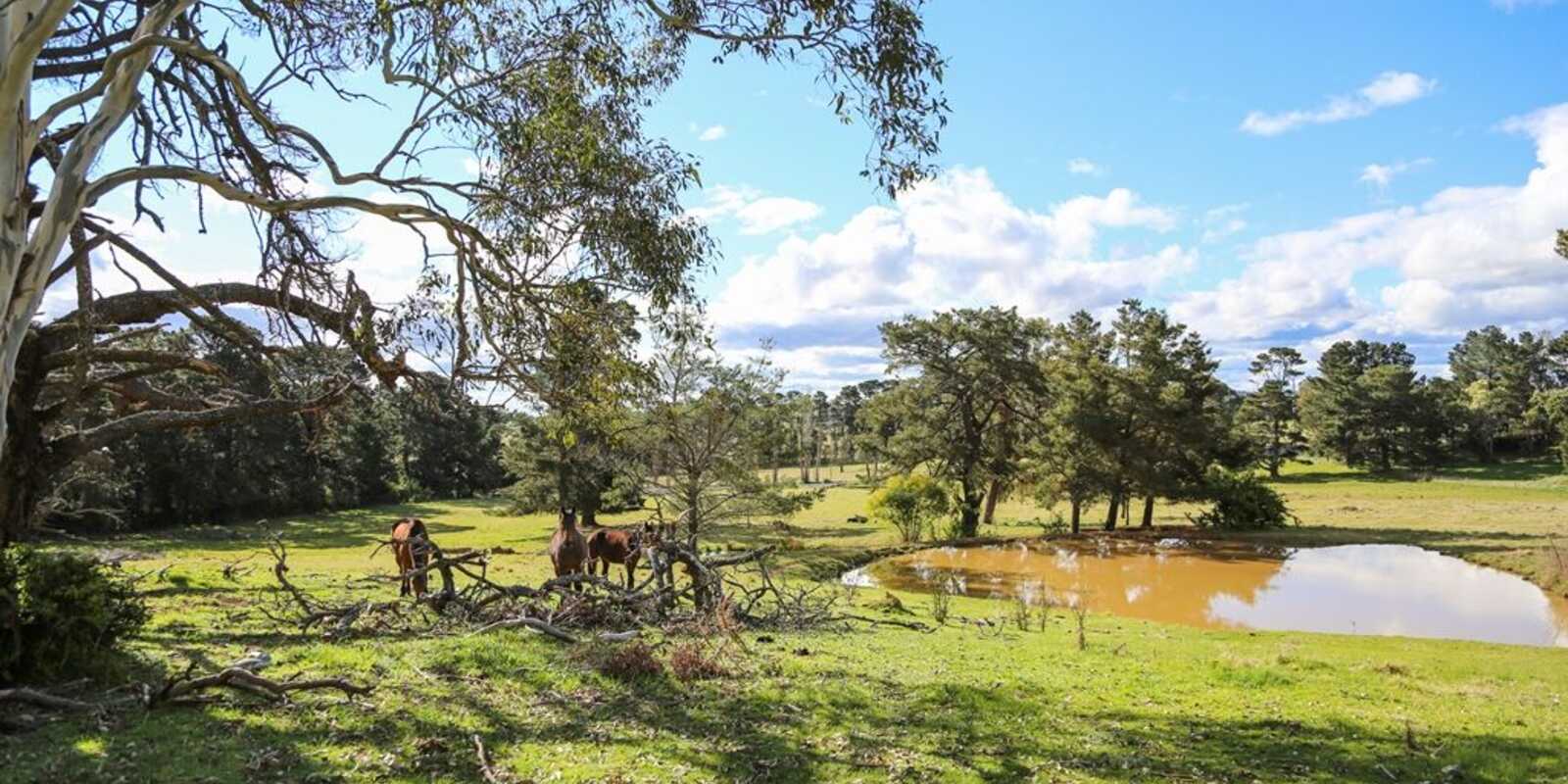 7031 Illawarra Highway Moss Vale