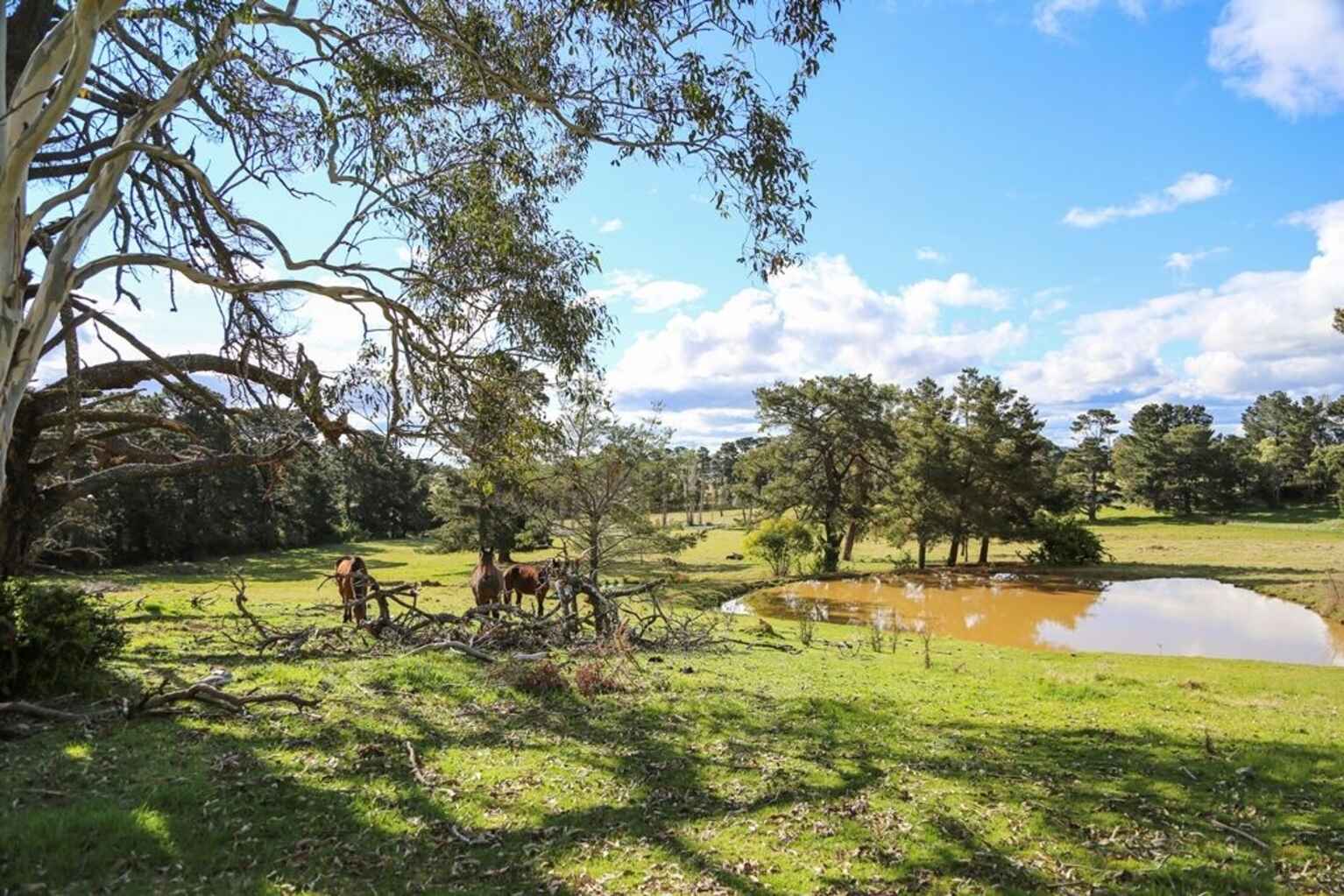 7031 Illawarra Highway Moss Vale