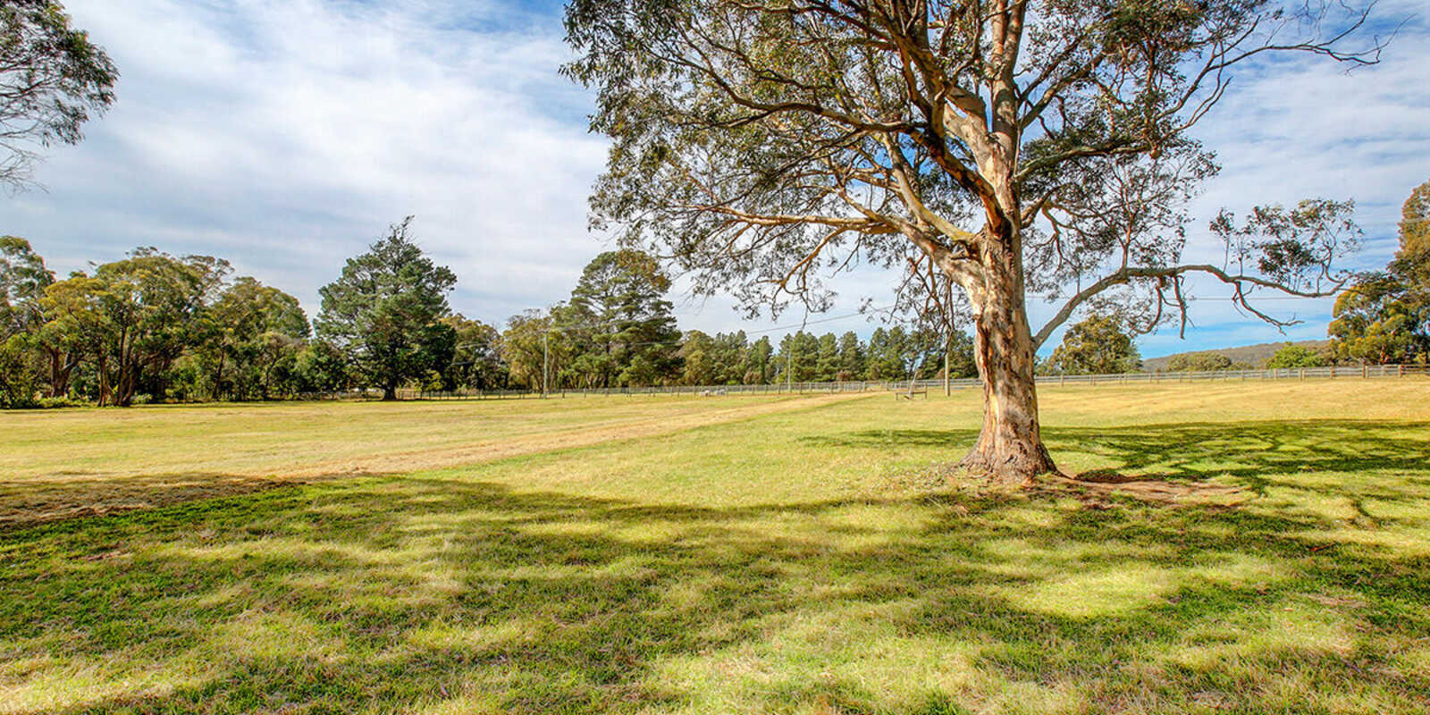  Woodlands