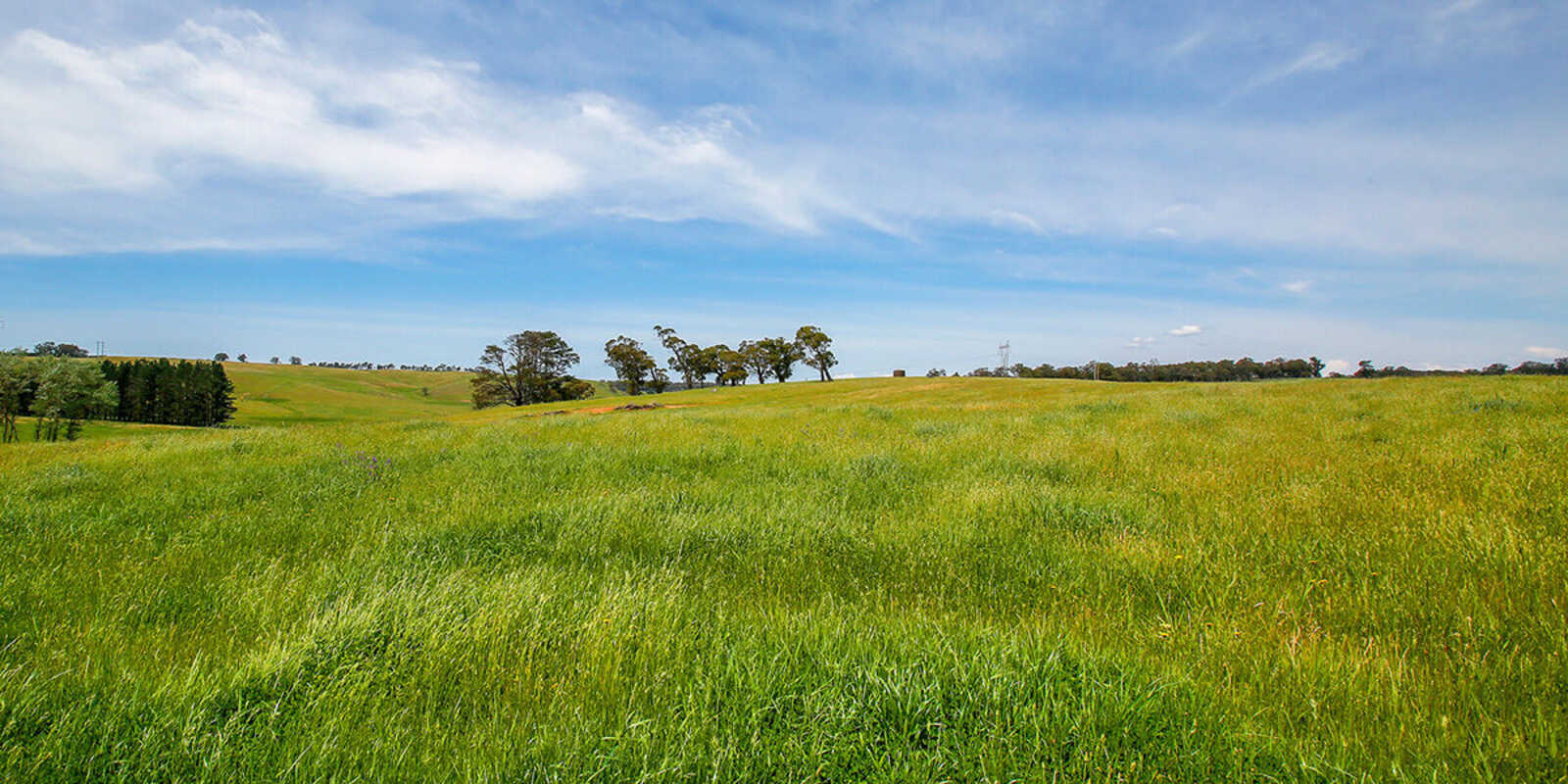 7921 Illawarra Highway Sutton Forest
