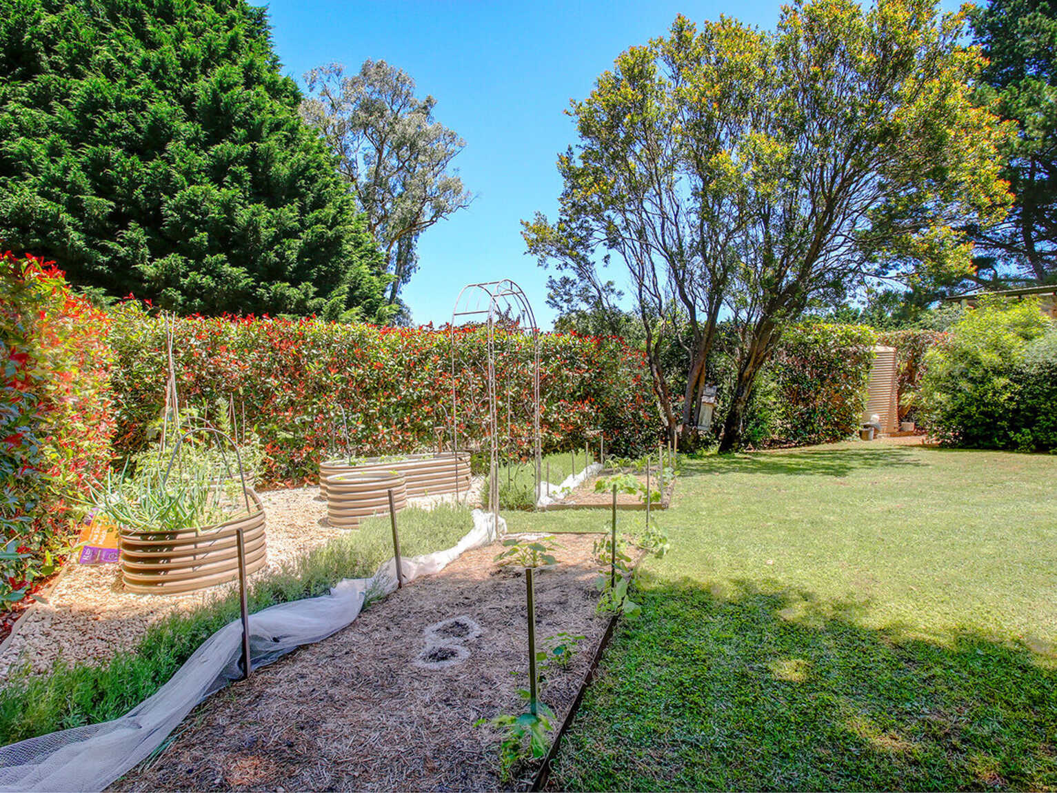 520 Ellsmore Road Exeter 520 Ellsmore Road Exeter