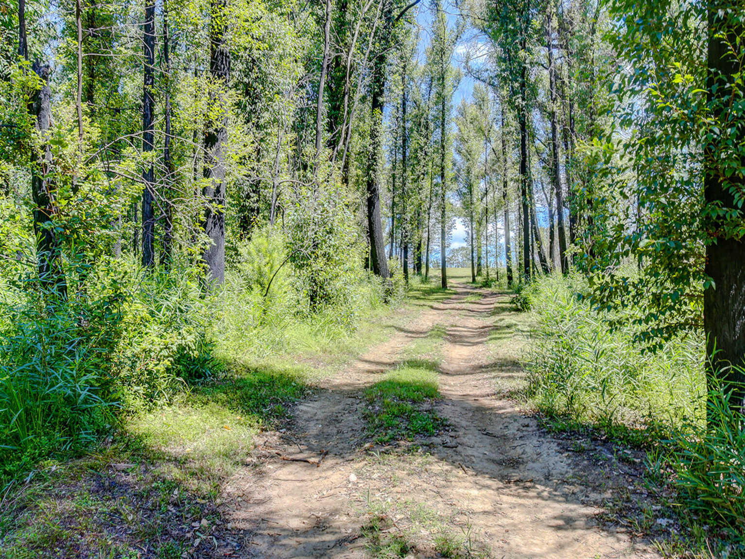 411 Spring Hill Road Meryla