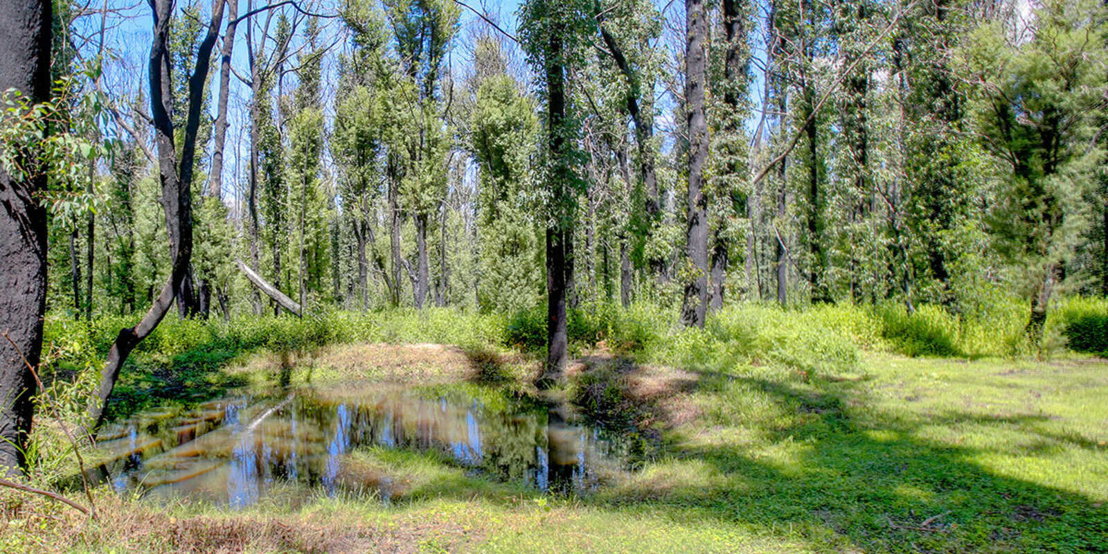 411 Spring Hill Road Meryla