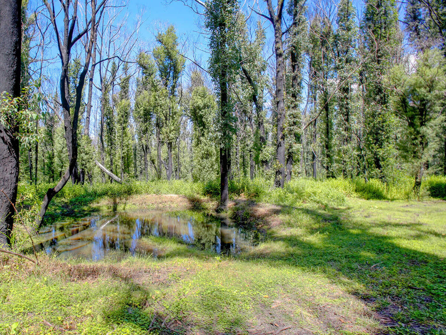411 Spring Hill Road Meryla