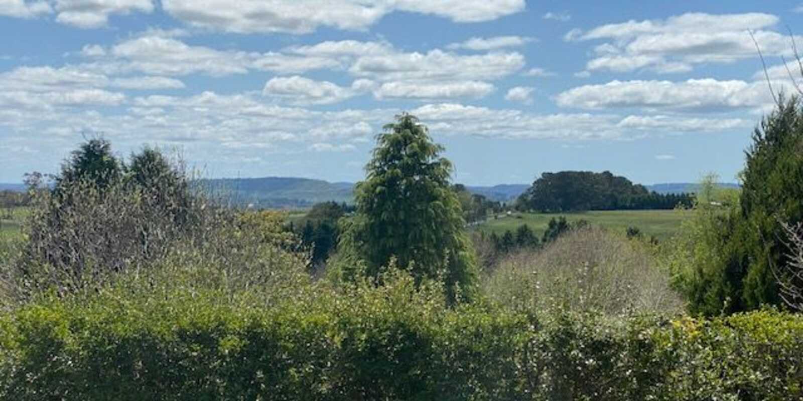 19 Yarwood Drive Exeter