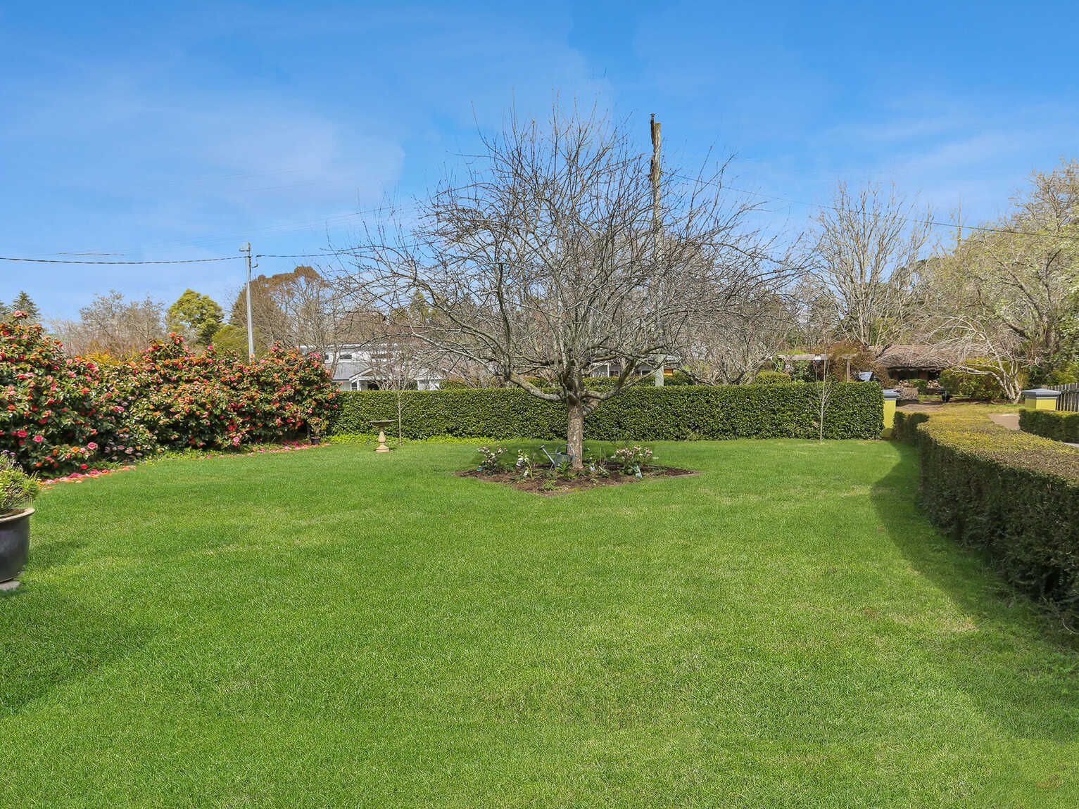 14 Buskers Avenue Exeter
