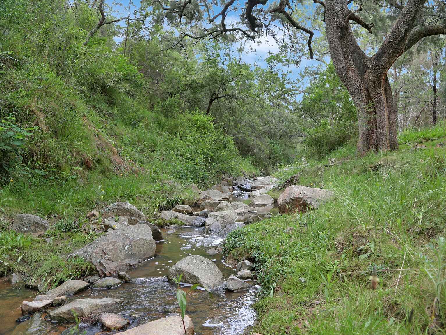 271 Pulpit Rock Road Bullio