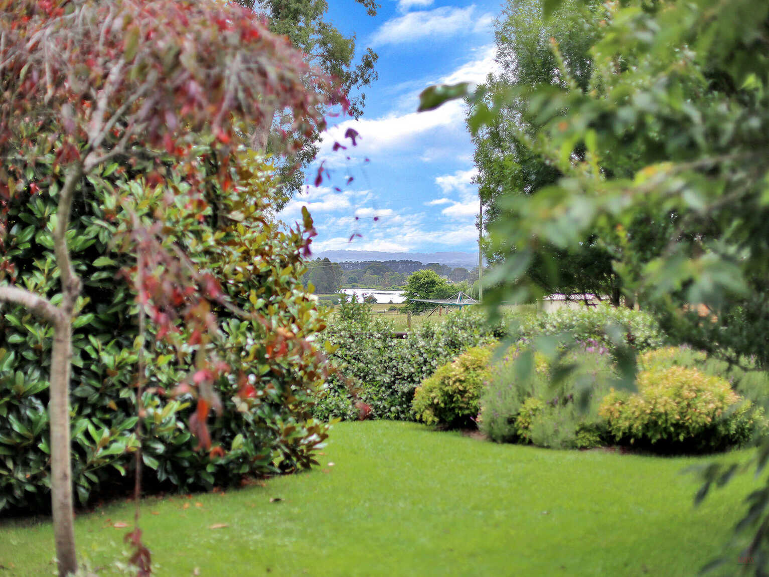 20 Victor Crescent Moss Vale