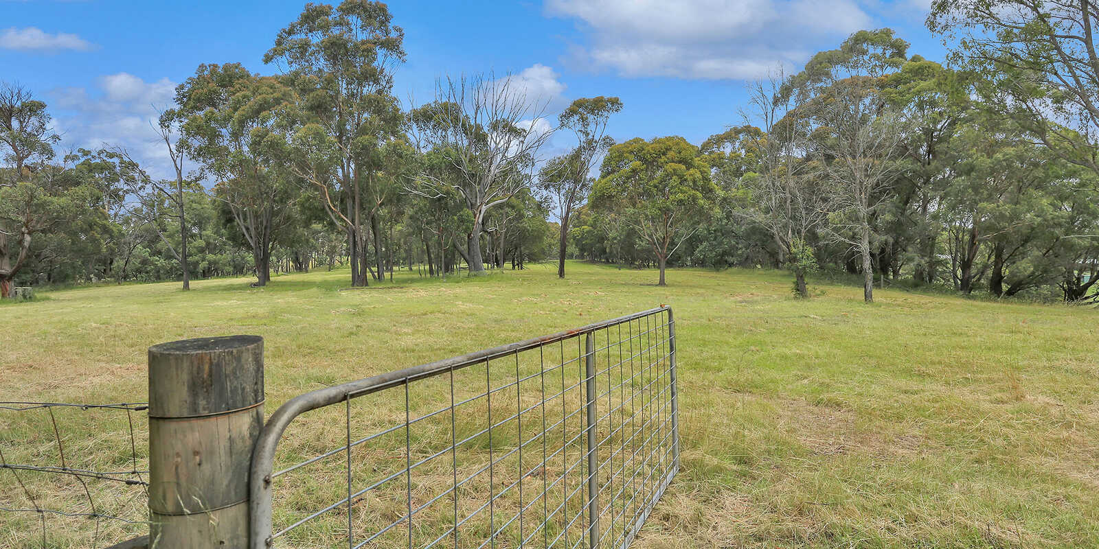 155 Foxgrove Road Canyonleigh 155 Foxgrove Road Canyonleigh