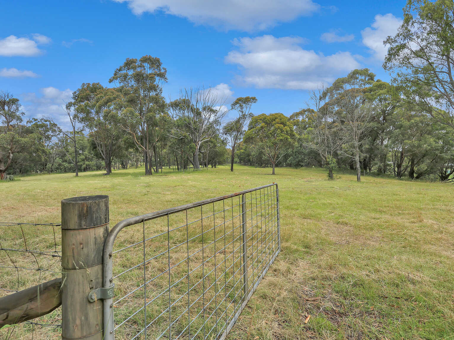 155 Foxgrove Road Canyonleigh 155 Foxgrove Road Canyonleigh