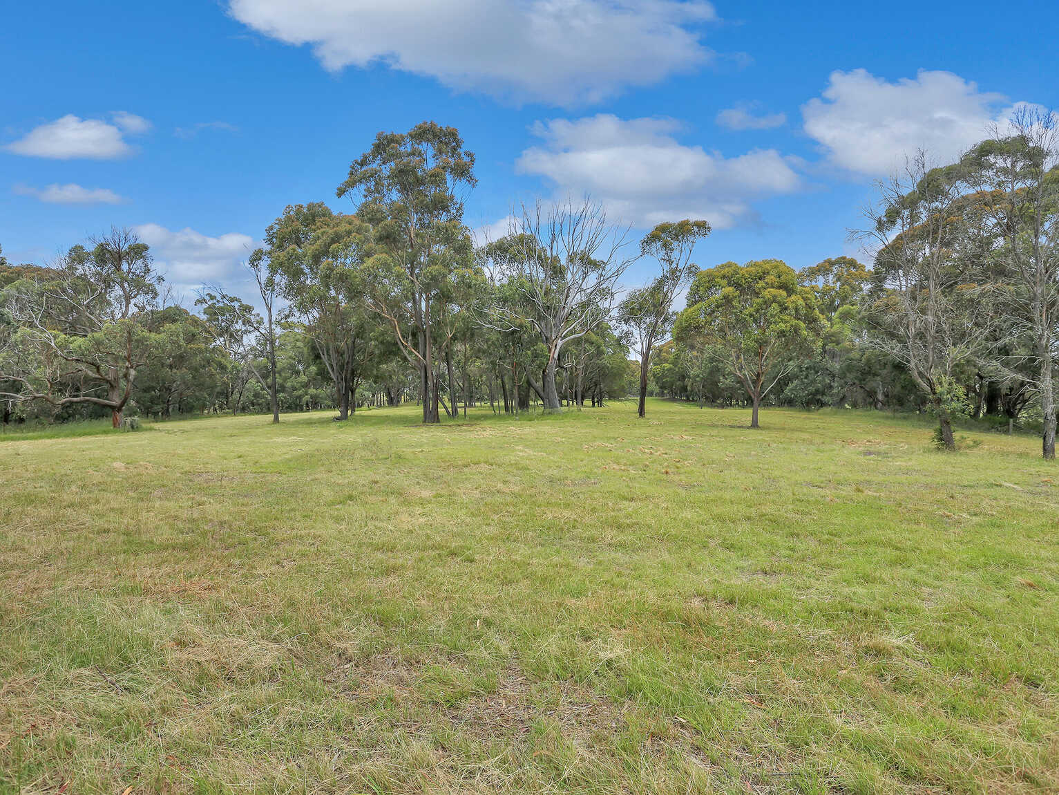 155 Foxgrove Road Canyonleigh 155 Foxgrove Road Canyonleigh