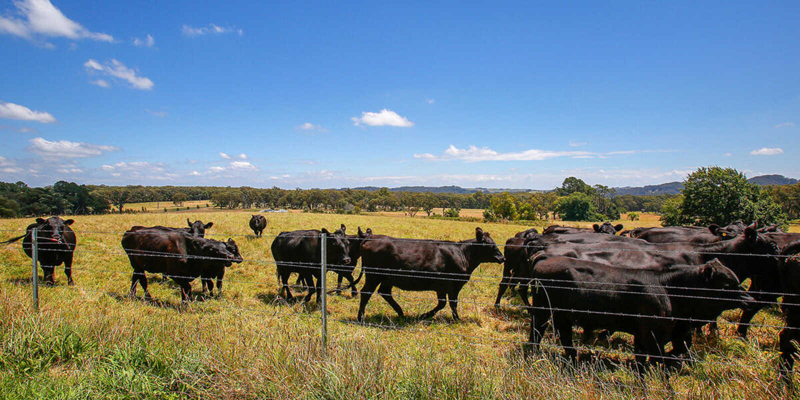 677 Nowra Road Moss Vale
