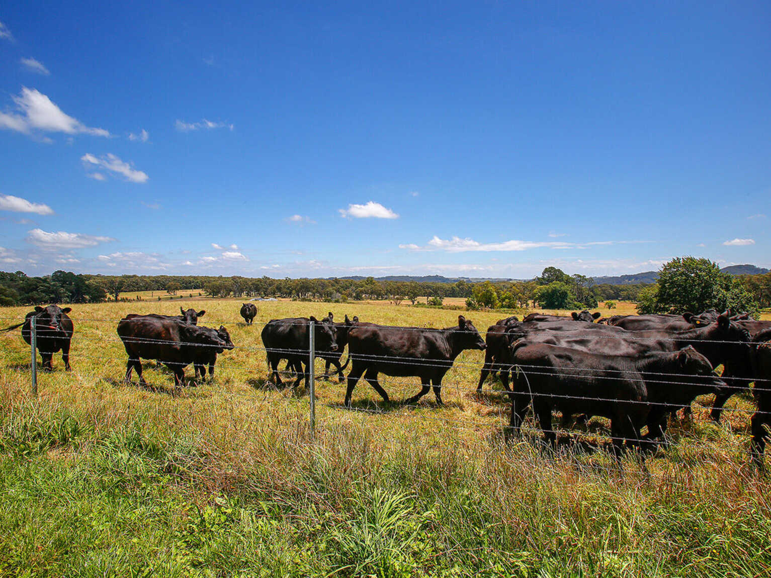 677 Nowra Road Moss Vale