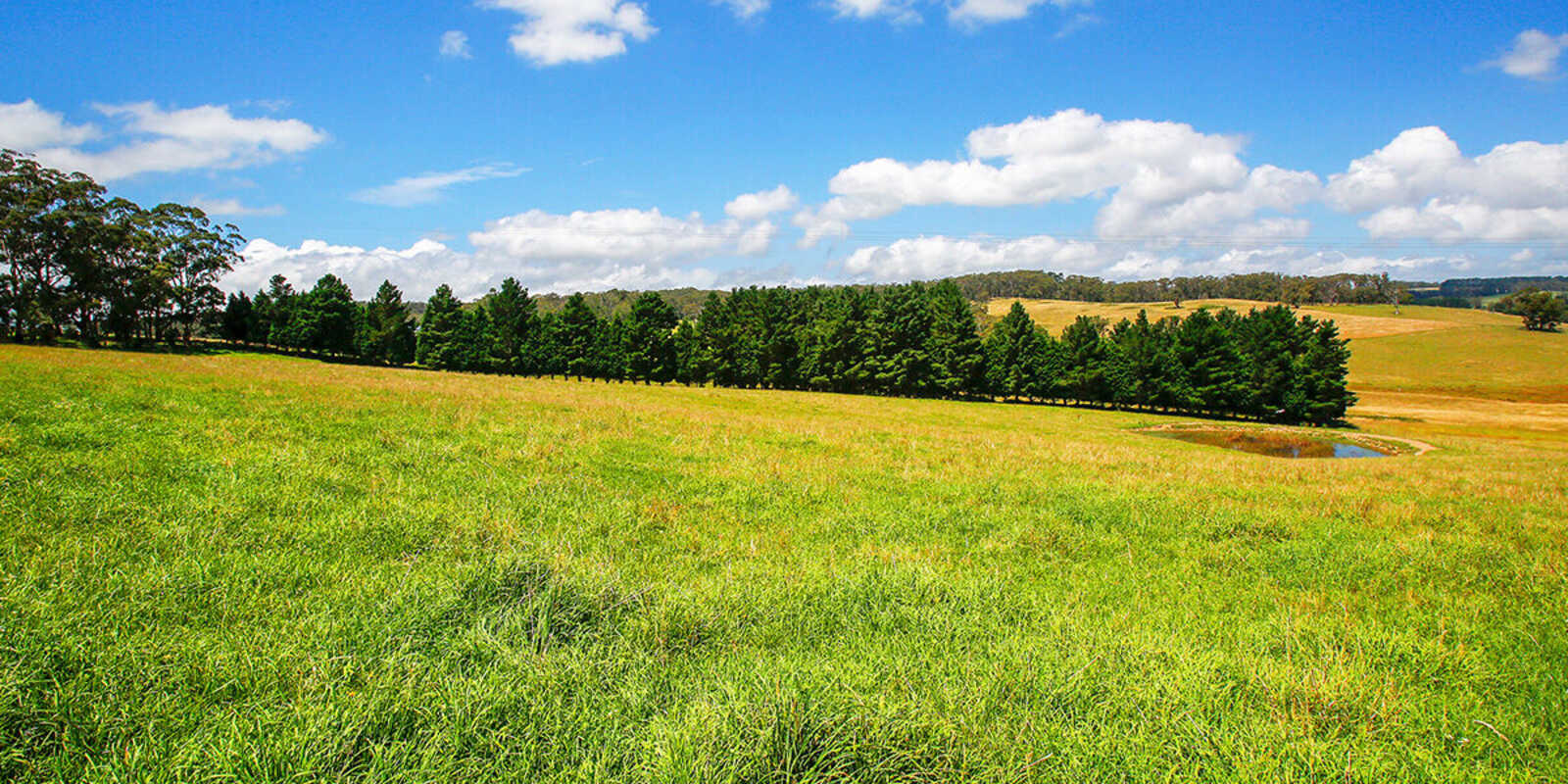 677 Nowra Road Moss Vale