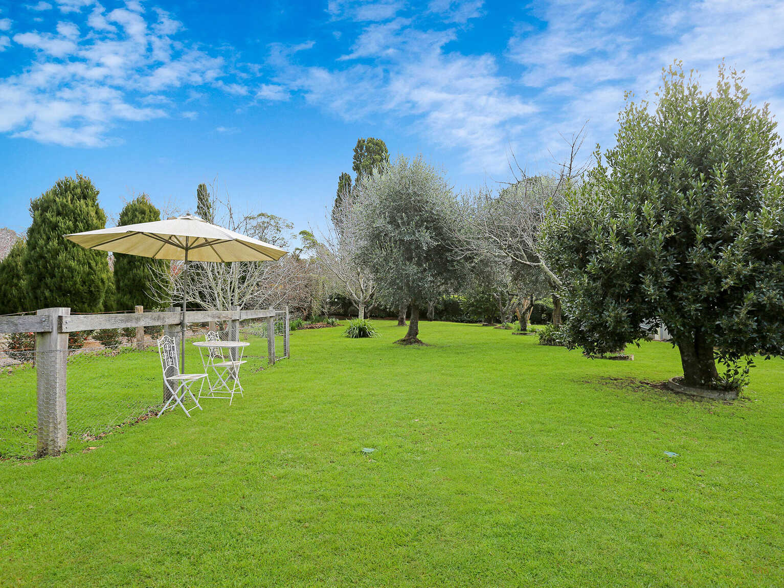 22 Ringwood Road Exeter 22 Ringwood Road Exeter