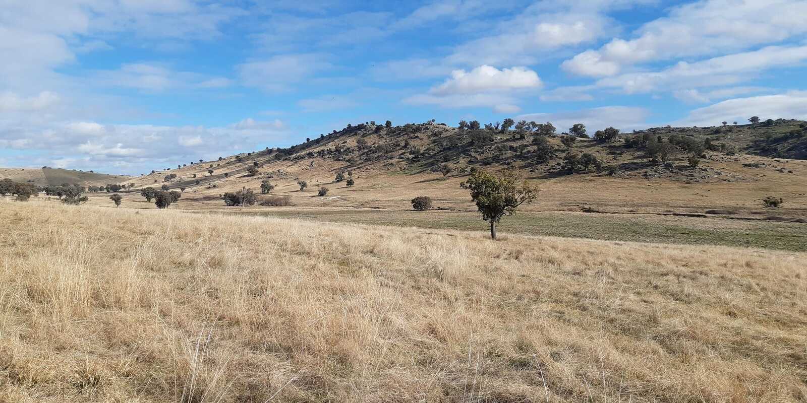  Mount Darling Road Wyangala