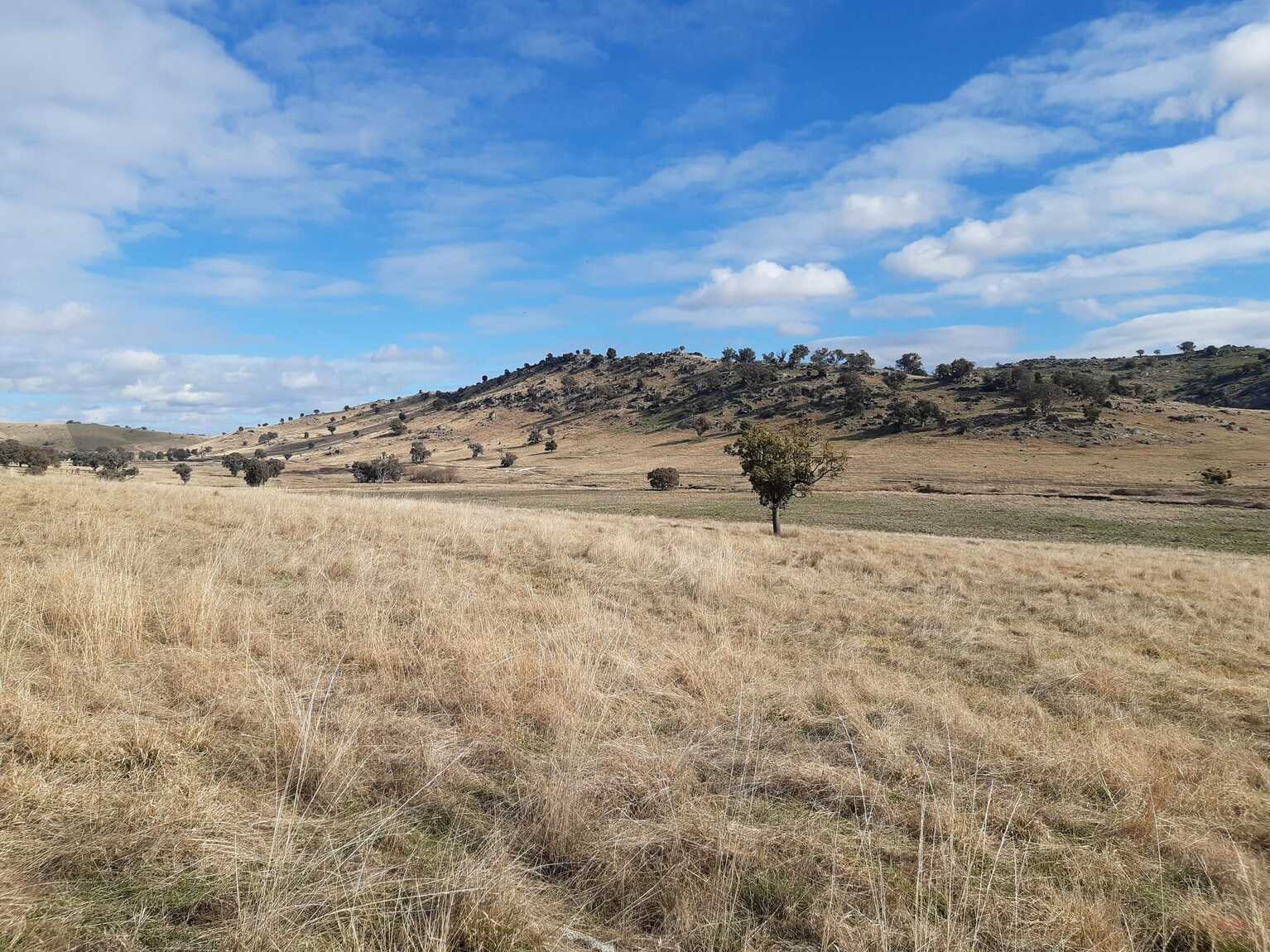  Mount Darling Road Wyangala