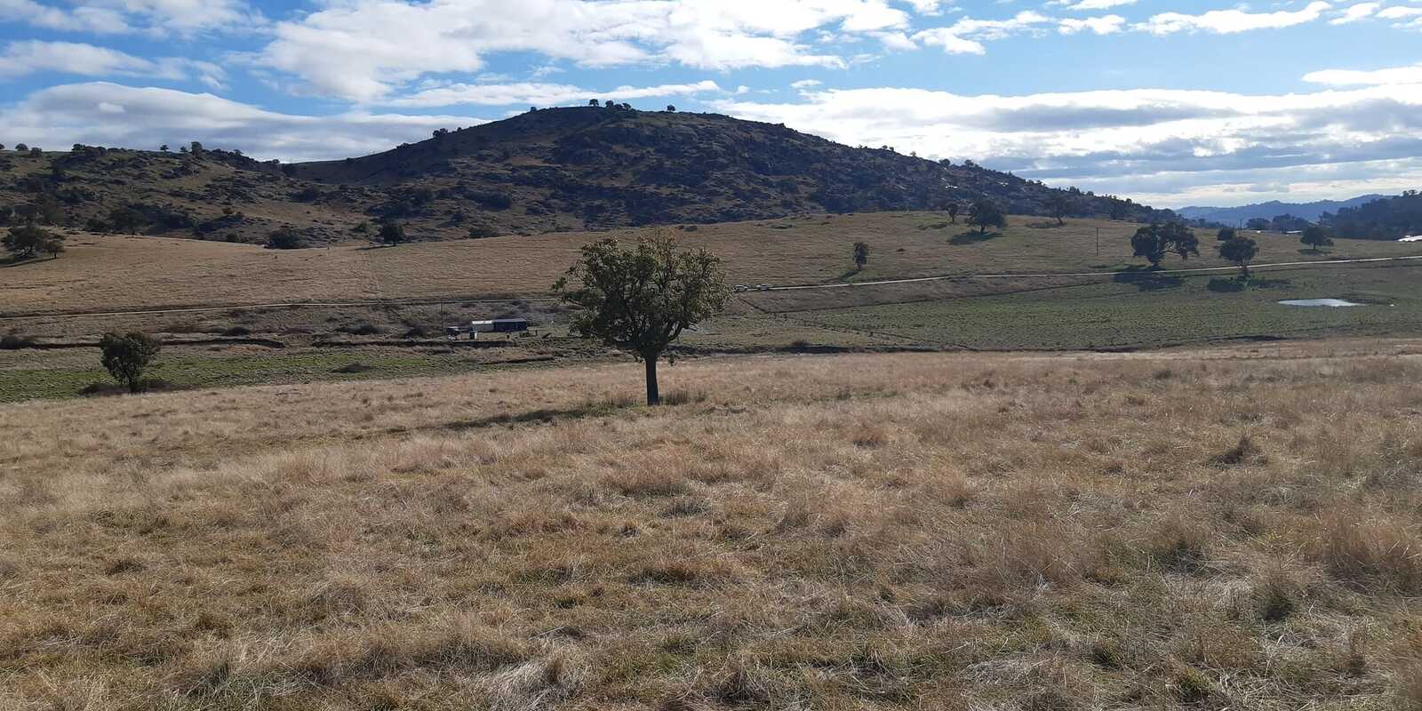  Mount Darling Road Wyangala
