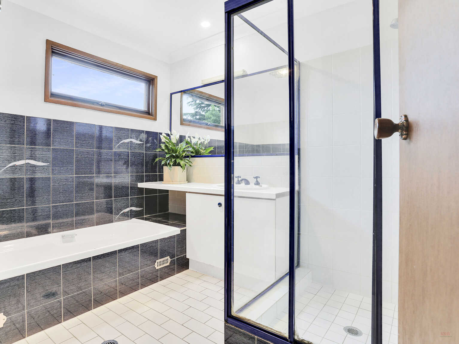 11 Chapman Street Moss Vale