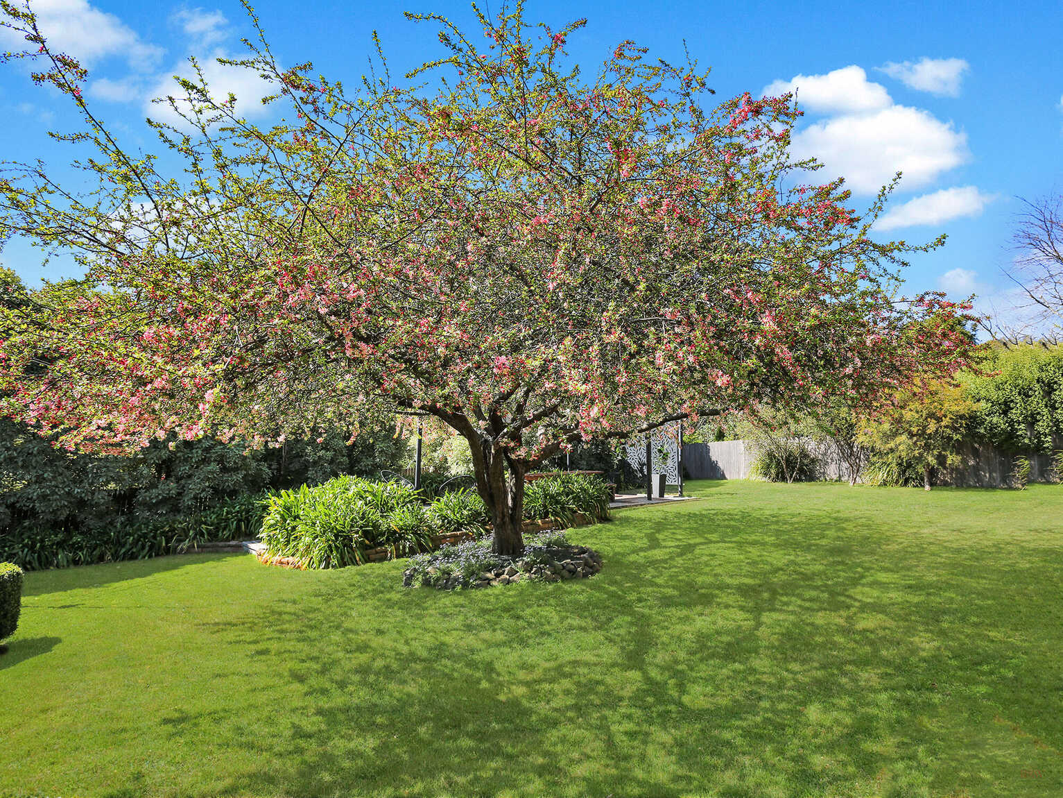 4 Rytina Place Moss Vale 4 Rytina Place Moss Vale