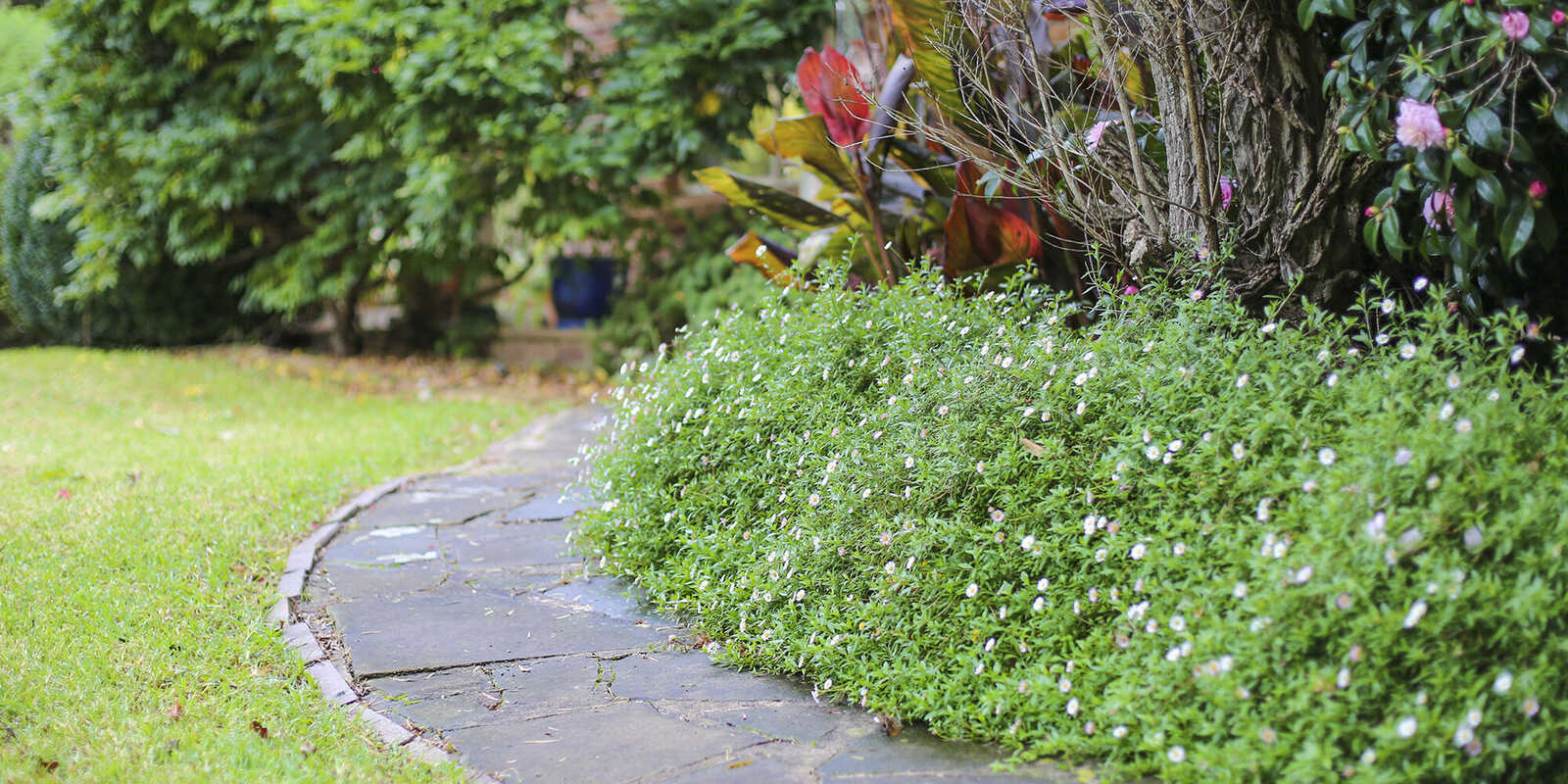 36 Erith Street Bundanoon