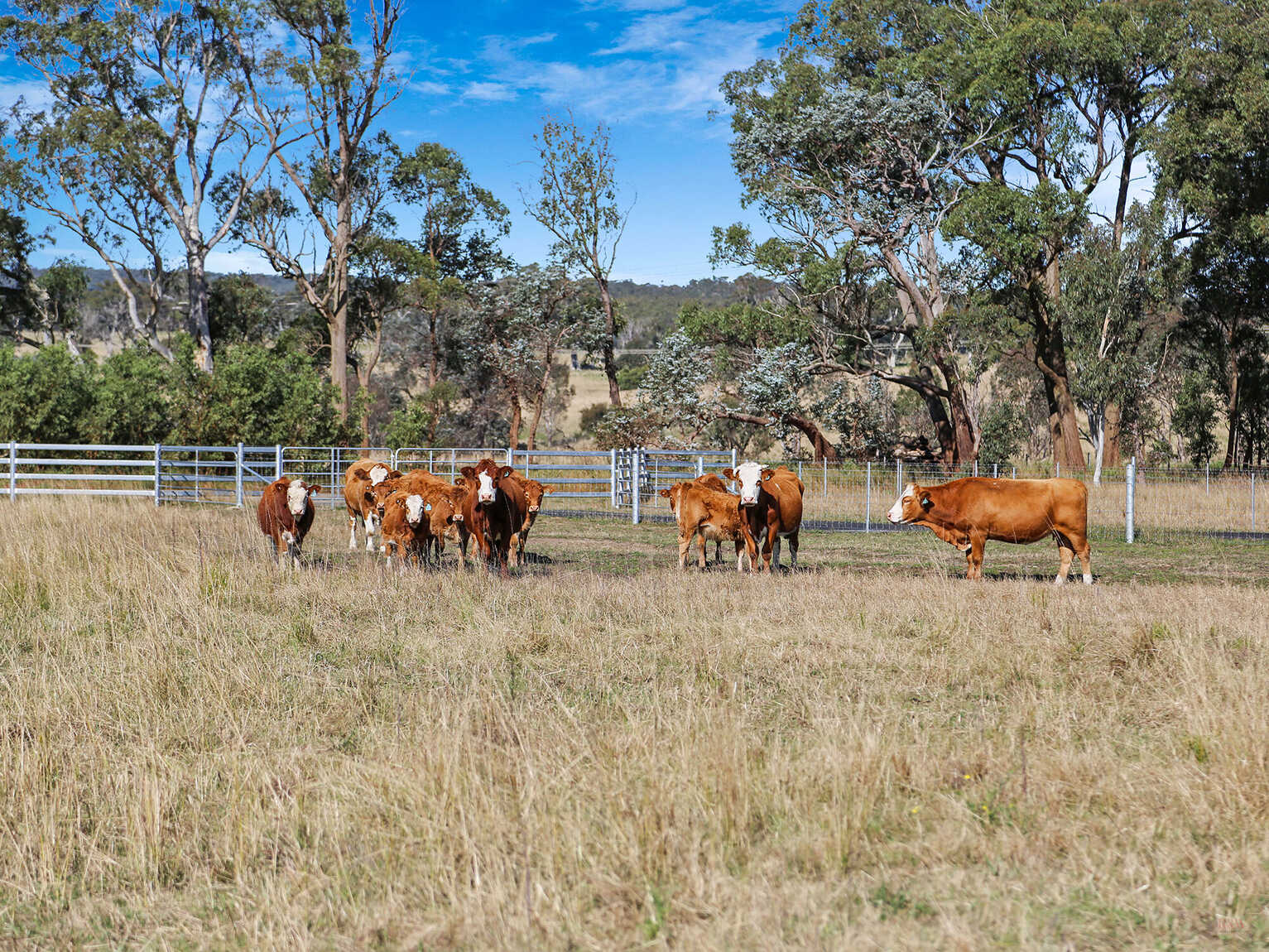 595 Inverary Road Paddys River
