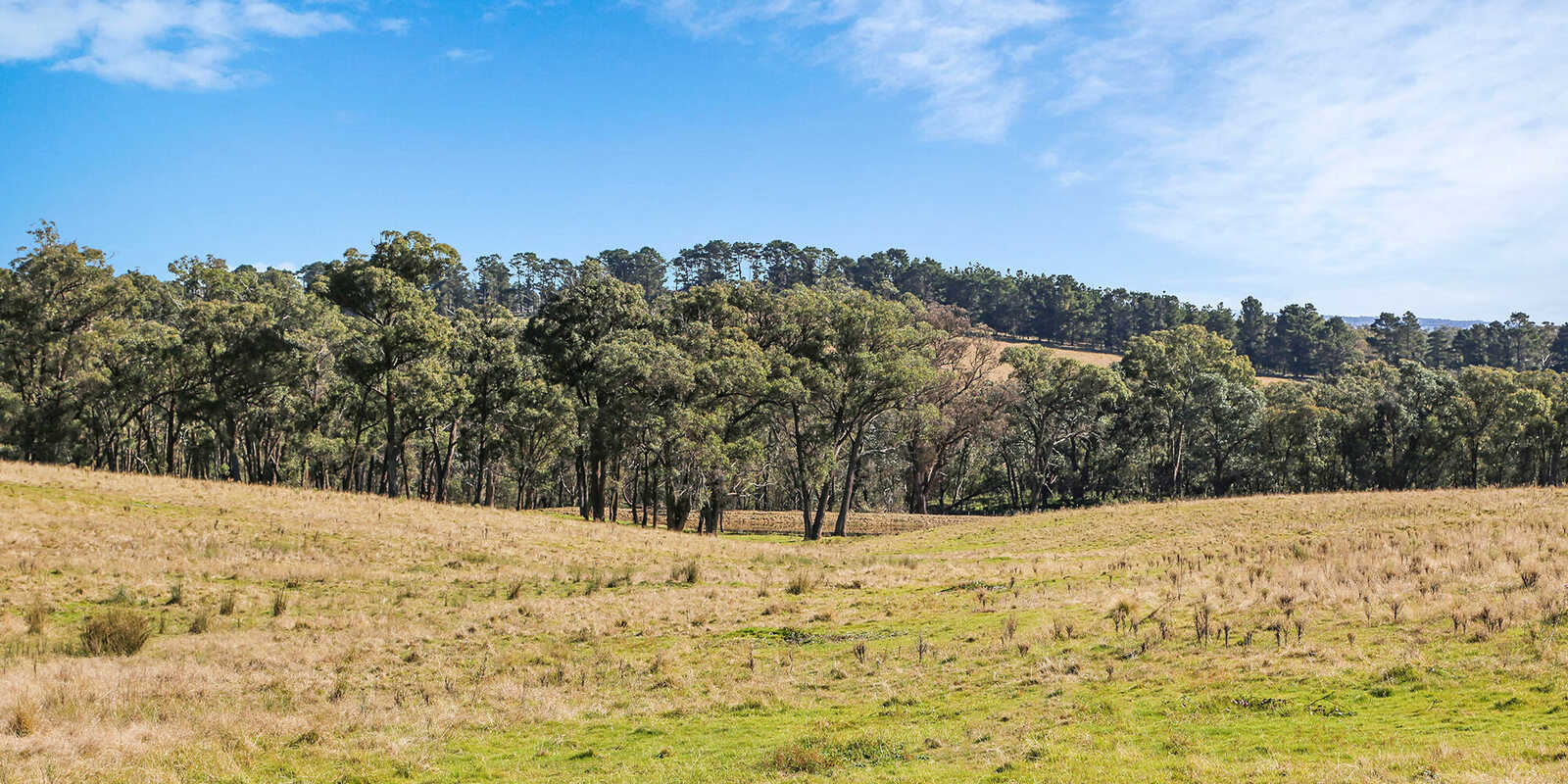 595 Inverary Road Paddys River