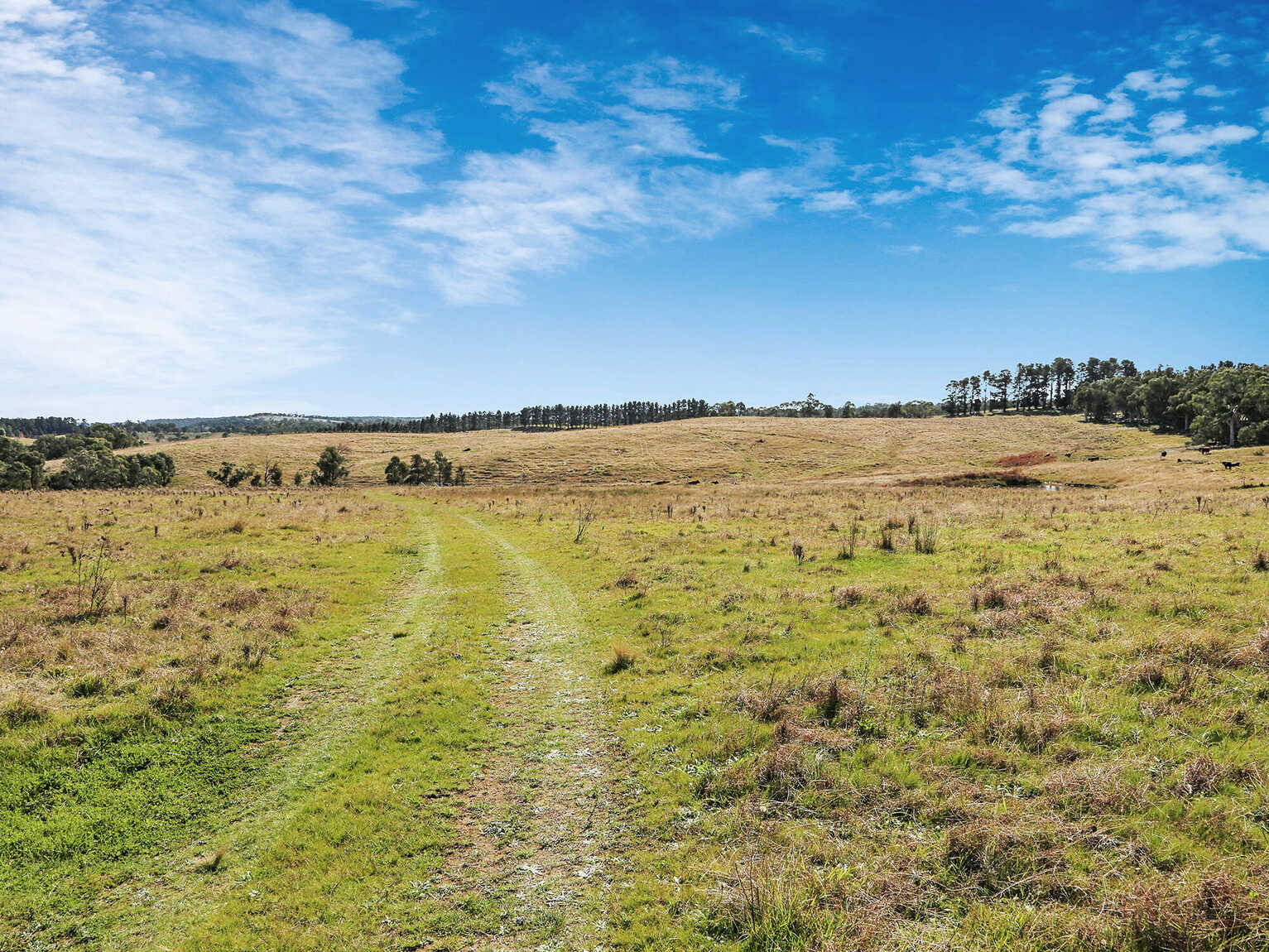 595 Inverary Road Paddys River