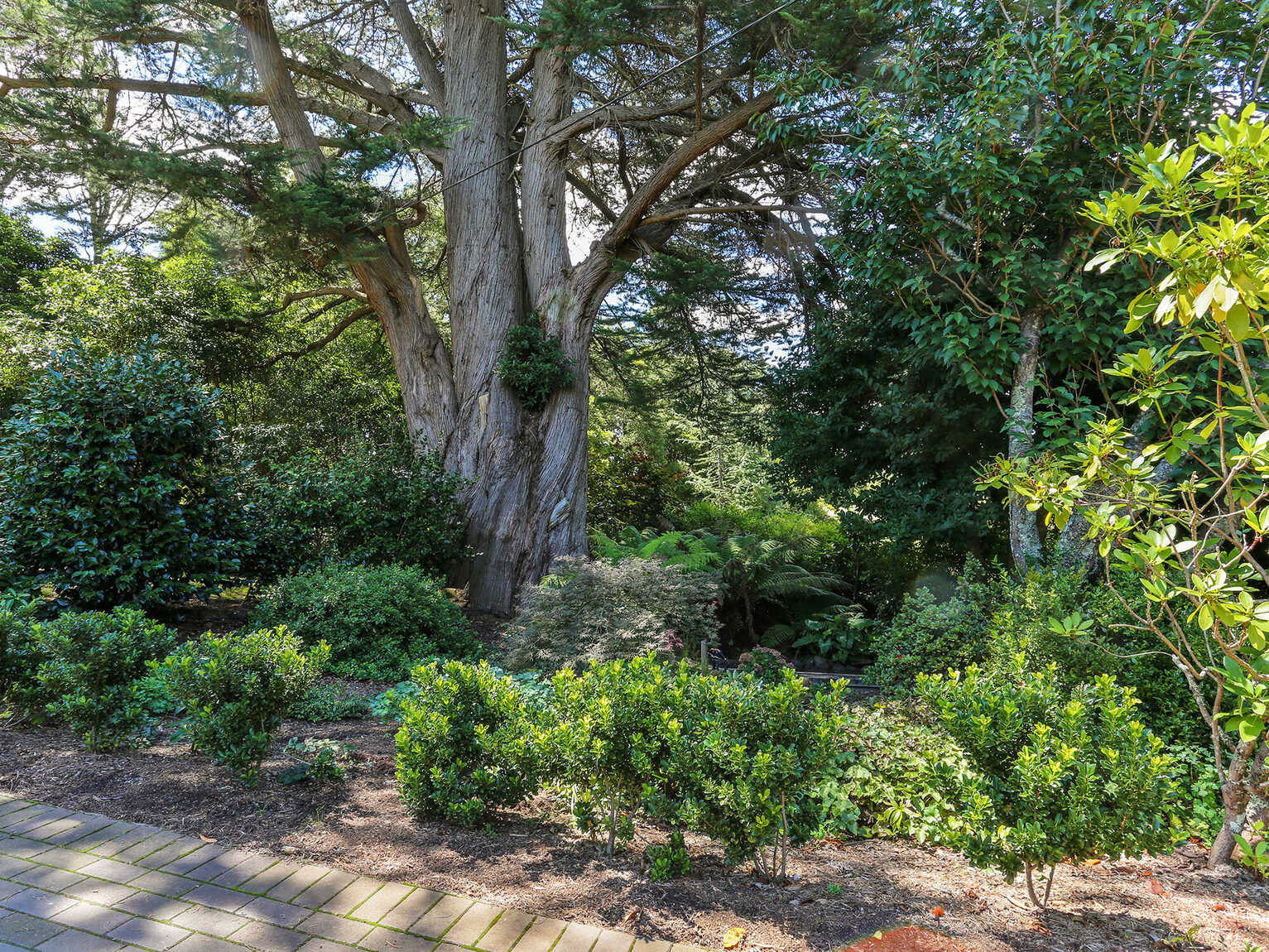 55 William Street Bundanoon