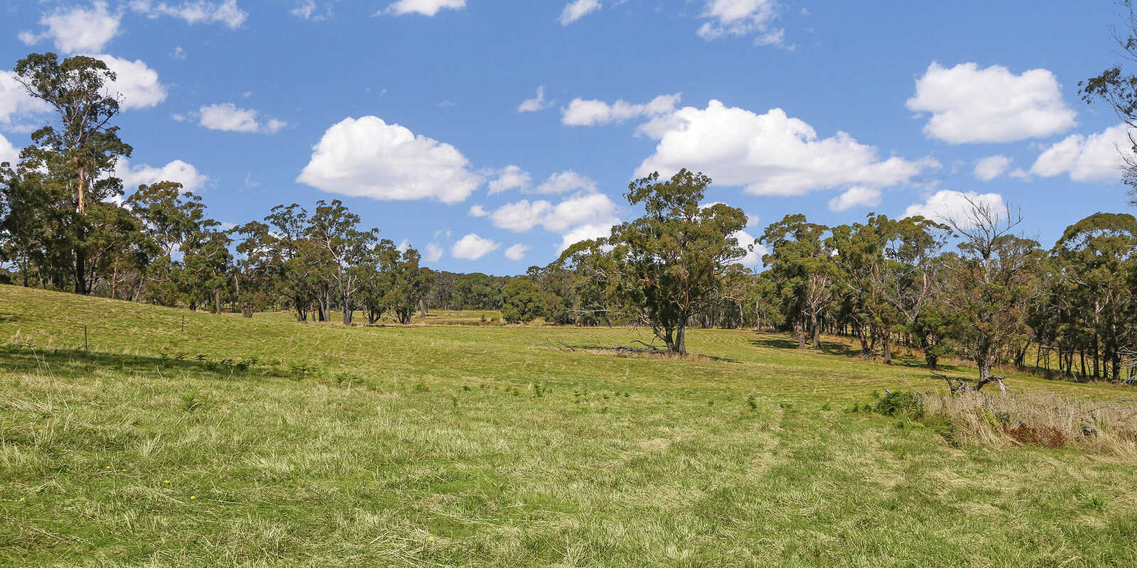 Lot 3, 2722 Canyonleigh Road Canyonleigh Lot 3, 2722 Canyonleigh Road Canyonleigh