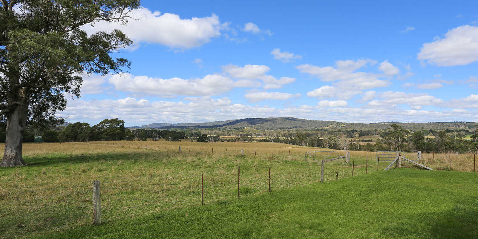 245 Wombeyan Caves Road Woodlands