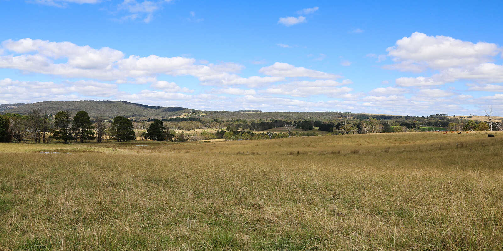 245 Wombeyan Caves Road Woodlands