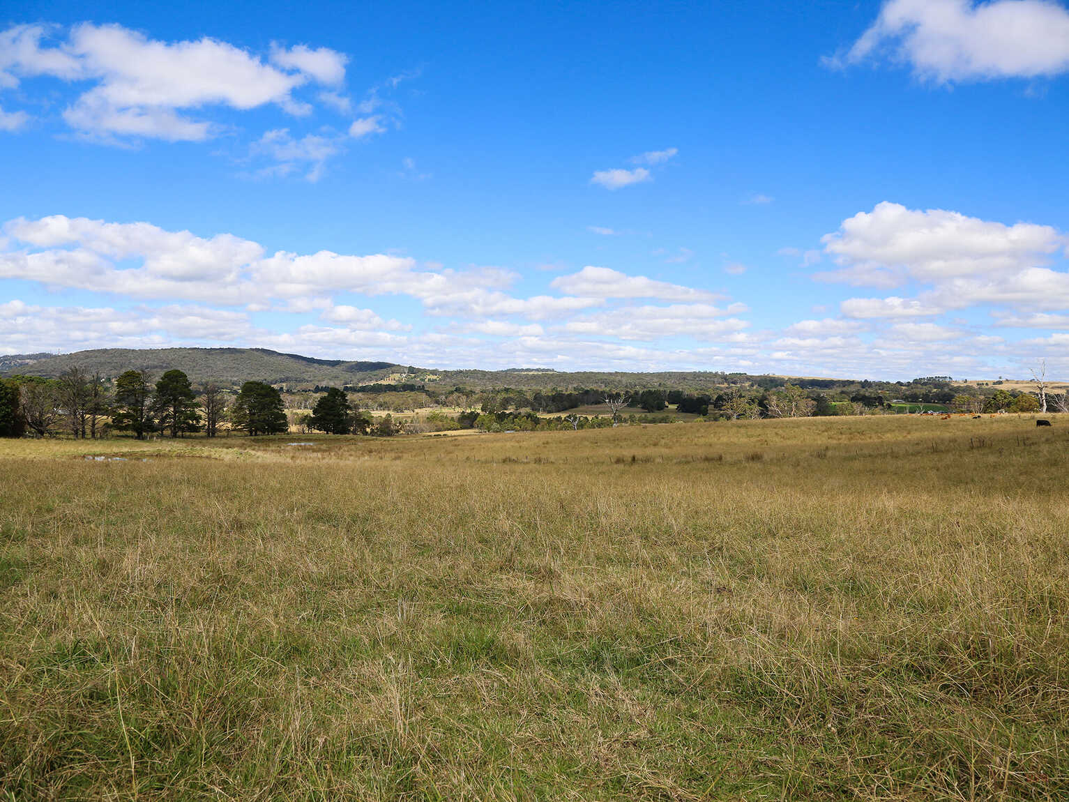 245 Wombeyan Caves Road Woodlands
