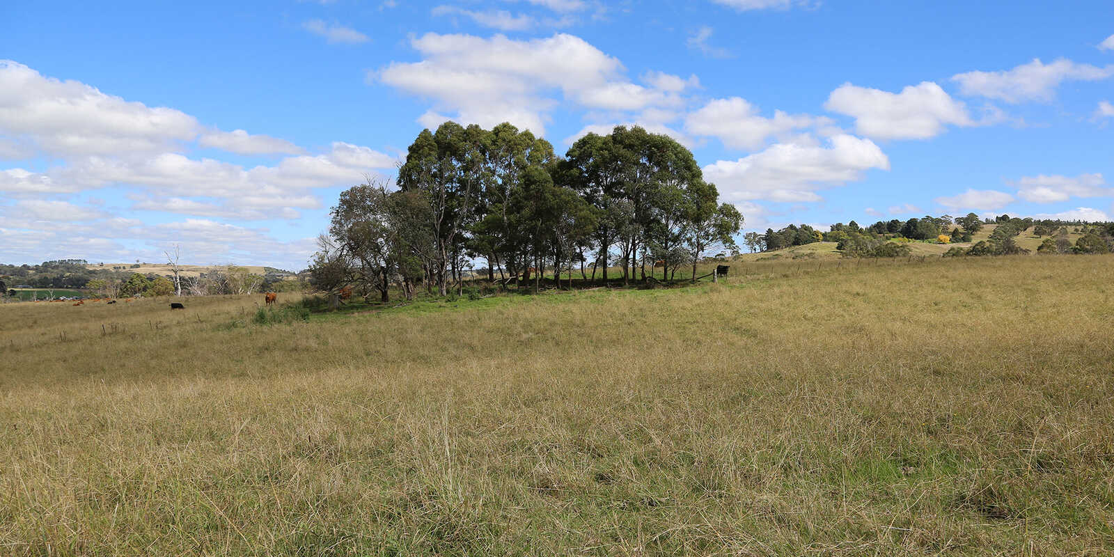 245 Wombeyan Caves Road Woodlands