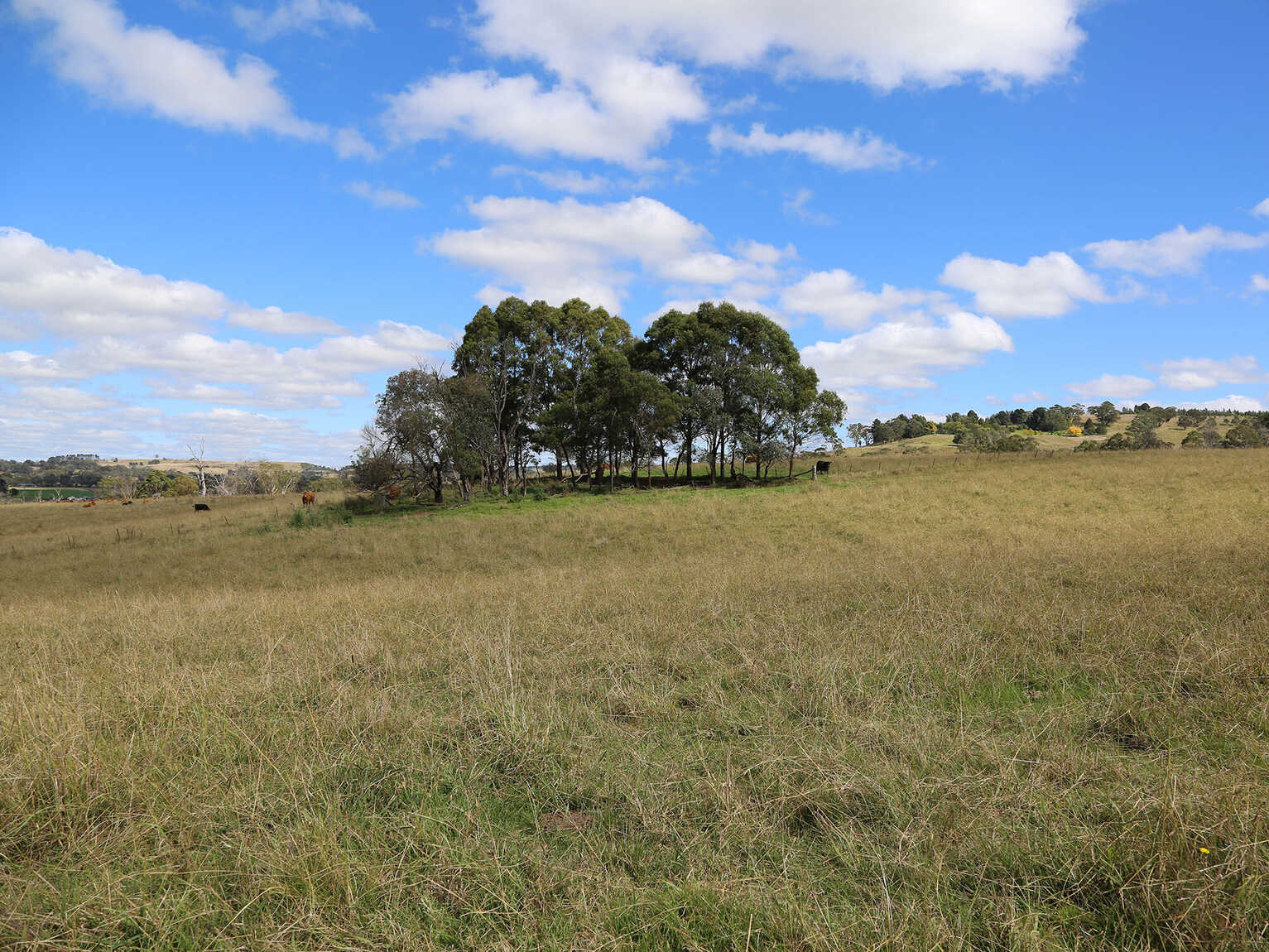 245 Wombeyan Caves Road Woodlands