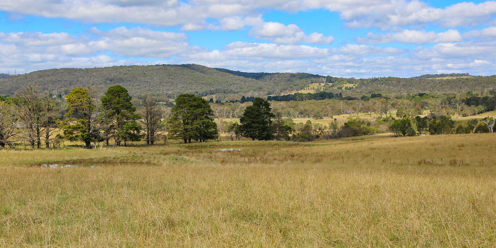 245 Wombeyan Caves Road Woodlands