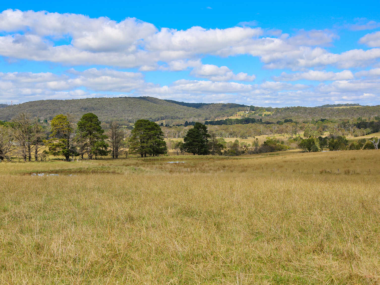 245 Wombeyan Caves Road Woodlands