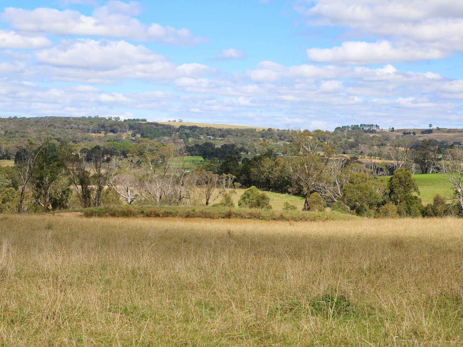 245 Wombeyan Caves Road Woodlands