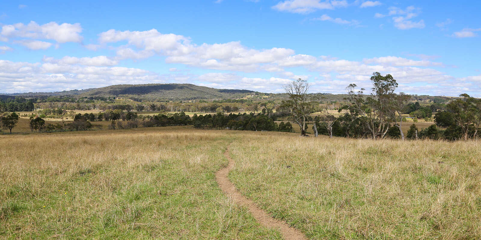 245 Wombeyan Caves Road Woodlands