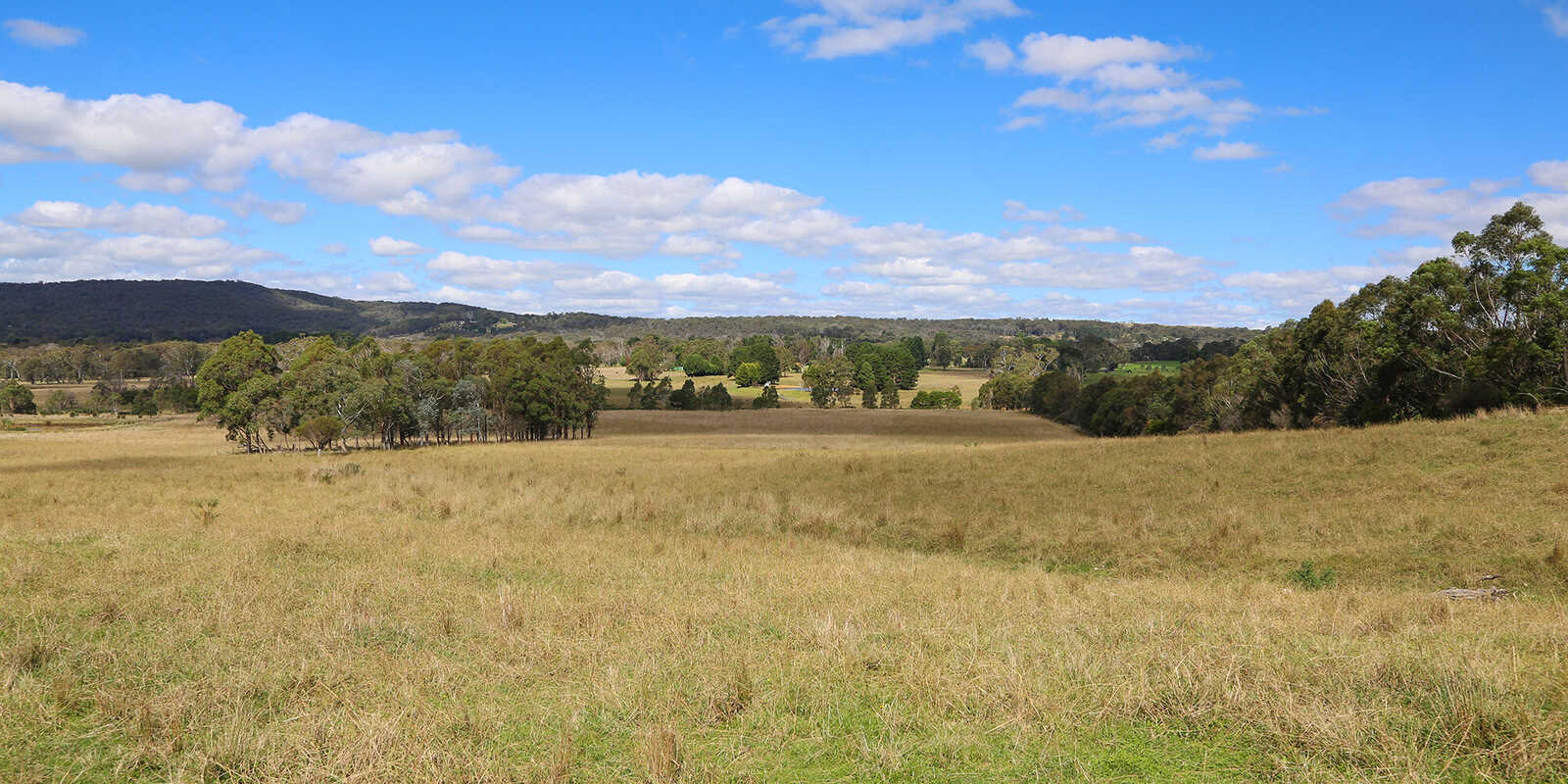 245 Wombeyan Caves Road Woodlands