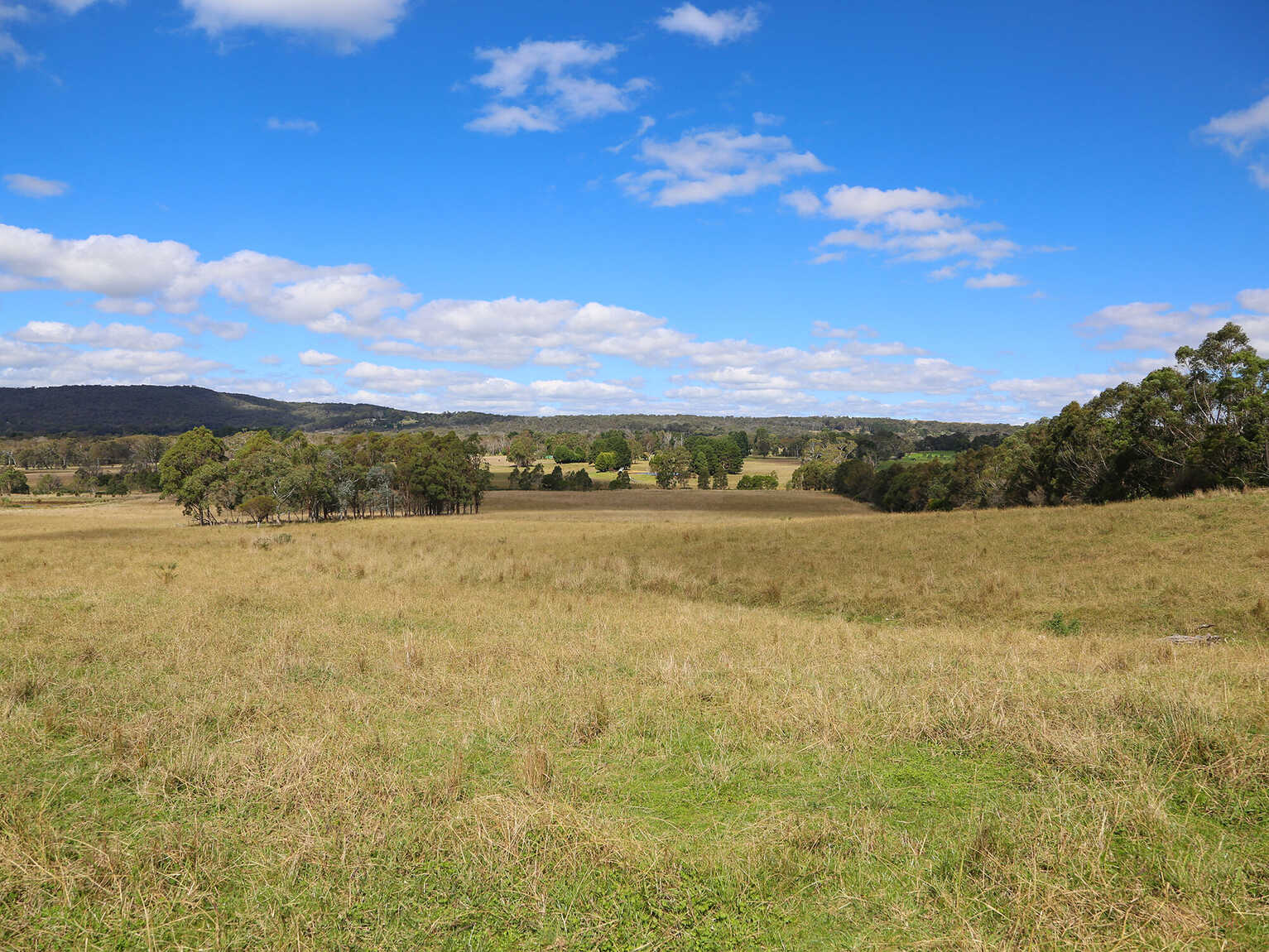 245 Wombeyan Caves Road Woodlands