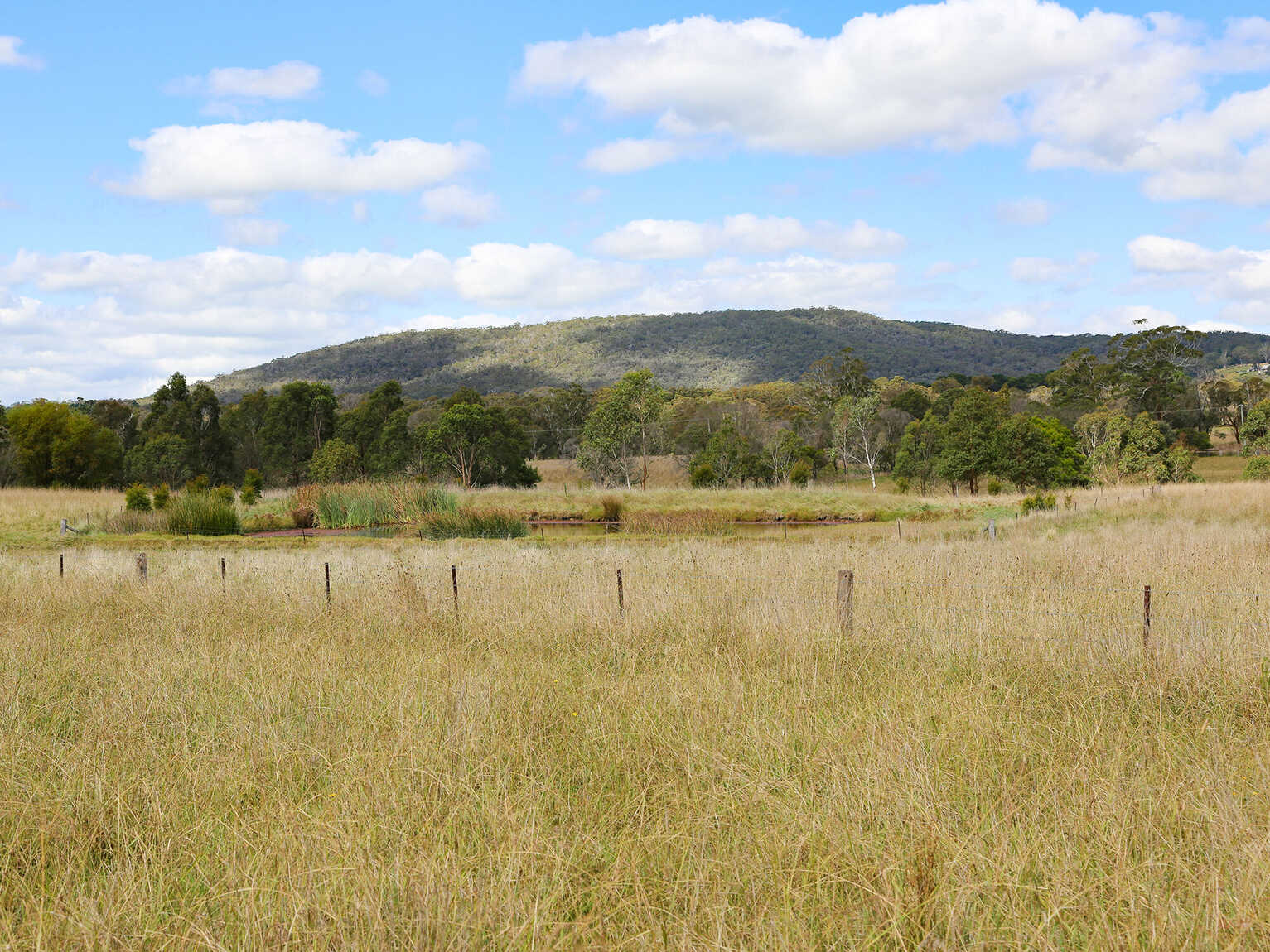 245 Wombeyan Caves Road Woodlands