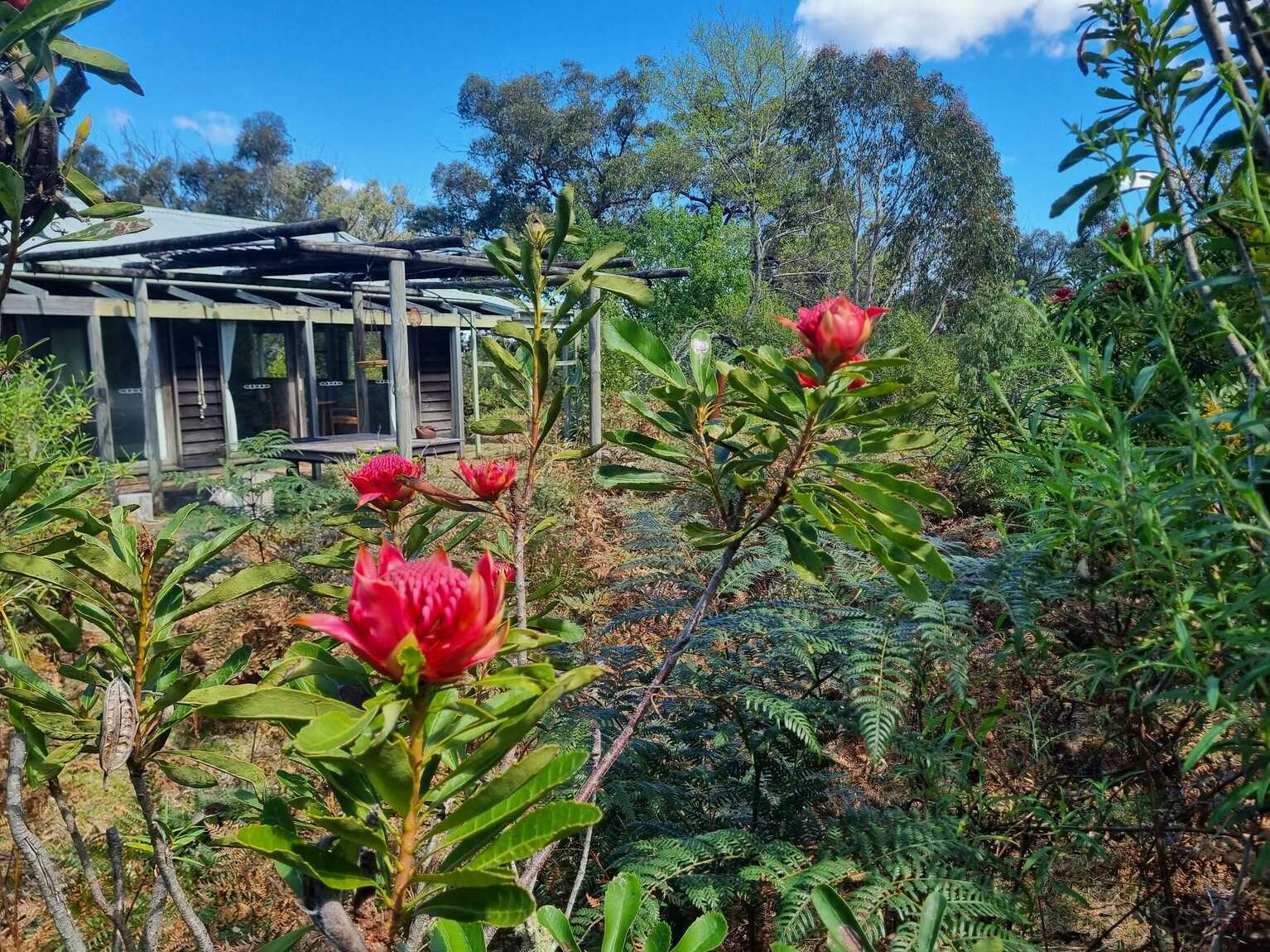 212 Teudts Road Penrose